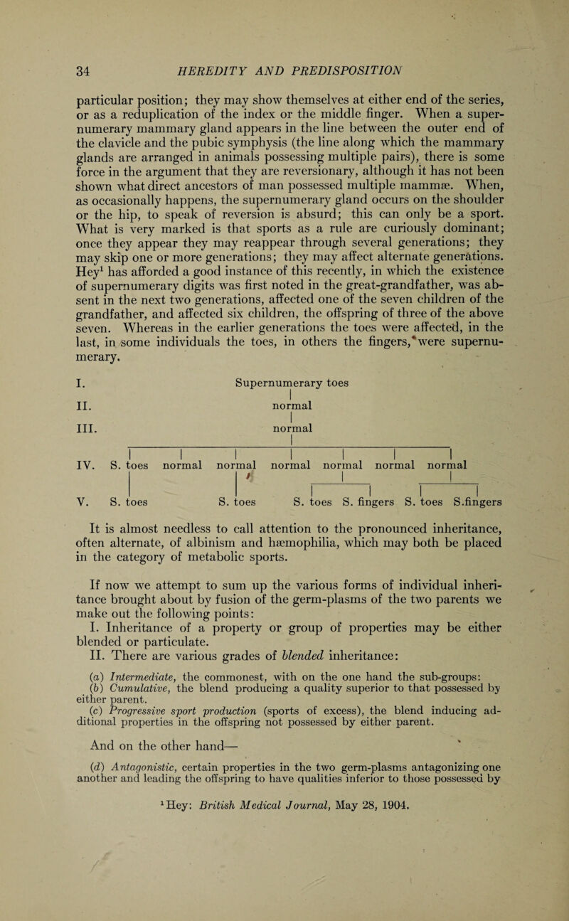 particular position; they may show themselves at either end of the series, or as a reduplication of the index or the middle finger. When a super¬ numerary mammary gland appears in the line between the outer end of the clavicle and the pubic symphysis (the line along which the mammary glands are arranged in animals possessing multiple pairs), there is some force in the argument that they are reversionary, although it has not been shown what direct ancestors of man possessed multiple mammae. When, as occasionally happens, the supernumerary gland occurs on the shoulder or the hip, to speak of reversion is absurd; this can only be a sport. What is very marked is that sports as a rule are curiously dominant; once they appear they may reappear through several generations; they may skip one or more generations; they may affect alternate generations. Hey1 has afforded a good instance of this recently, in which the existence of supernumerary digits was first noted in the great-grandfather, was ab¬ sent in the next two generations, affected one of the seven children of the grandfather, and affected six children, the offspring of three of the above seven. Whereas in the earlier generations the toes were affected, in the last, in some individuals the toes, in others the fingers,*were supernu¬ merary. I. II. III. IV. V. Supernumerary toes normal I normal _!__ I I l I I I I S. toes normal normal normal normal normal normal f 1 ! toes s. ■ ,oes 1 1 1 S. toes S. fingers S. toes S.fingers It is almost needless to call attention to the pronounced inheritance, often alternate, of albinism and haemophilia, which may both be placed in the category of metabolic sports. If now we attempt to sum up the various forms of individual inheri¬ tance brought about by fusion of the germ-plasms of the two parents we make out the following points: I. Inheritance of a property or group of properties may be either blended or particulate. II. There are various grades of blended inheritance: (a) Intermediate, the commonest, with on the one hand the sub-groups: (b) Cumulative, the blend producing a quality superior to that possessed by either parent. (c) Progressive sport production (sports of excess), the blend inducing ad¬ ditional properties in the offspring not possessed by either parent. And on the other hand— (d) Antagonistic, certain properties in the two germ-plasms antagonizing one another and leading the offspring to have qualities inferior to those possessed by