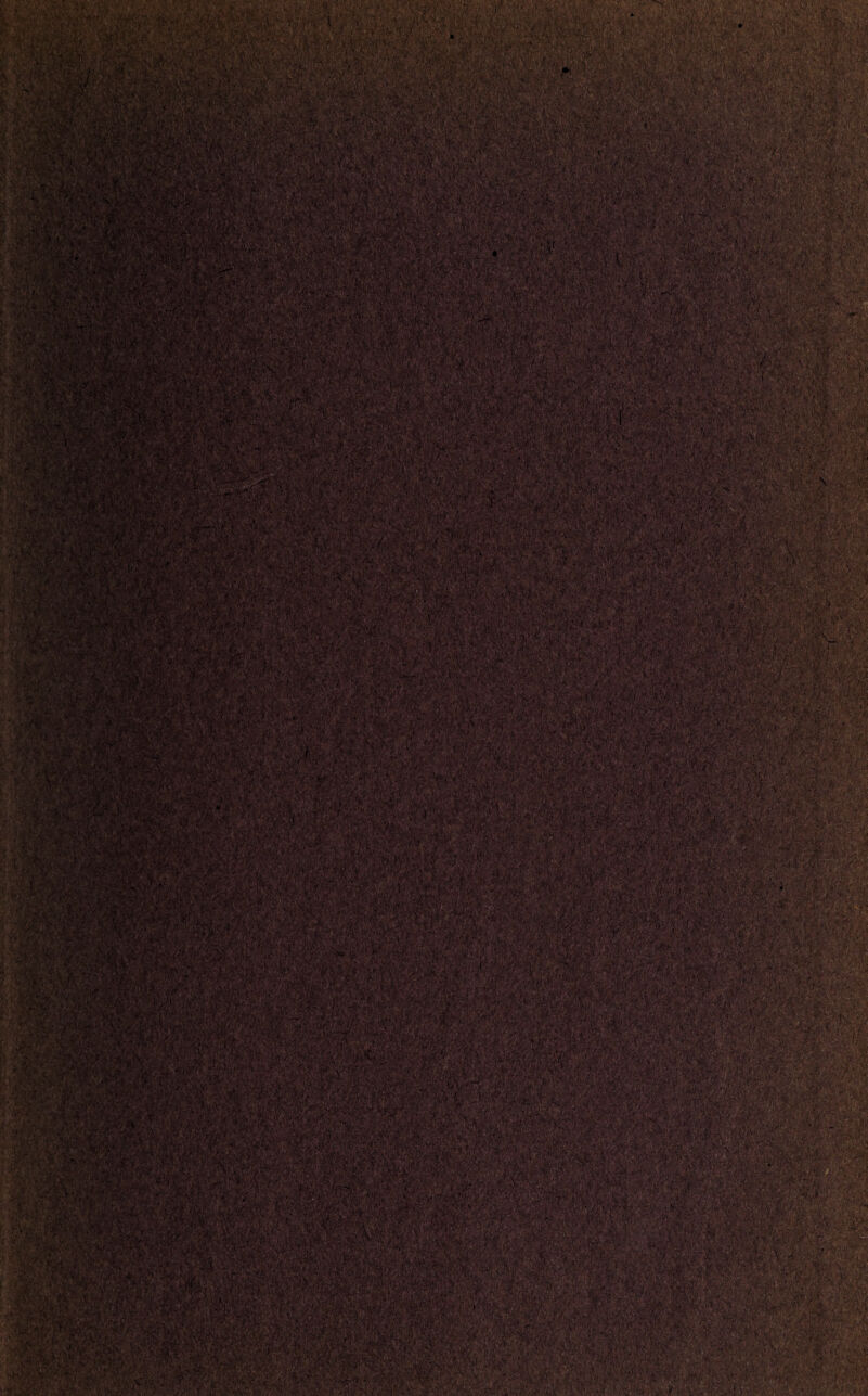 I .,# v/i 'jjV'#*'*■ : V v’ v- •v..;r &- V%! -' V k£ .’•■ ; • -•> / •'•'• •• • ■ •• • •♦ilSSwiAiSy;.V: &WL&jVifr* v^fcvv'ivfc'*vr A, Jr' - . . -. i '•.«>••,' j V ■ . * .-'.J' 7 c •. . - - ' ..v,;- -v. v ’. • ' W-*'r ’V; ■ A- ■ V - '. !iIMirffiliilli<llMllM>>Jllift<llliiWill'i f KSHSRmP; -v;- ' •V'.; - ■ ■ - . '. i ■.' s •• * %*. ’M«•«■ * «*$ • j/s^Ma wr«:tAai^CviV'-- .,^ * •» ^■/.;>• <v ■< ; 4A/ ■ w<-v ■ in :v-.&,> tV- ^SPr/^^Pfet^ySir5^’* ••’■& <U7>* ^-’v*,?•*{/'•■.n,^/4 Sv'jJ^) i ,-/i';v-<>\ • /*. £-.\j?y»• >??,./ -*•■> j L .**• •: L'v ('***/ v?f^•-'■ .* • •••;• < • ;*,*■ - •>• > >w , y *••: h.,f ‘ ?' ”•■ --\rfi ■'ktbtv • \ -11', • ■:,A-'s:i-.- ' .- ■ ..<) ,v?• ■■ • '•. t-' ^W'$’-. %%■> *^'r*.-.• ^.y.'T.-• •• i,.*•'•> •*? (■■, MN0K9^mBRflKwffaiNaHil9n^Kl^v.V Iv a:> l!f^t .-’i' '*. T > ;«.:>.•--. ;Sfij:5'3/f*' ;^*'‘ , .Vjys^al^vi^#4, r^- ^ % .>*•=; ,*», A-v'■ wzSfsmti-w?. ' f&fife*'■'*• ?•» . V’:'• '>4 K--:^ ' .<> .V,,vJ • ■^;’ , v; • > vMpj I'^wrS^Vi ' ' ' : o- ■>; ■. ■ . - • • :', : ■•■;■ ' - V;:« ■ ■ L . ■•Vsj., ->. . .-«fjmatsBsHaBSKBStSESKfmaSInmmSS^ iw?' v-P-i' ; , •• , • •> 'feii 1 > --WjyJ:,.f.-*f«t -'It--. ' '» •■’ .'■a,.- ’ •' \m*M '■■-■ ■ ri*tsMW'Si*K:>'■>,.uX .v*’. >v:- •;, ■/•„.■.■. r-.<>;• ',> '* ^ V*-* ■•• ■ VJ/.v/* v' t^n-7' *X- ■: >• v 4/ nv . .•■ . •’.-S ^ • - • •.**» -tf!; .•.. h: +■■. V » • <- /- • ** ' VT-: %v V * jUlH * '