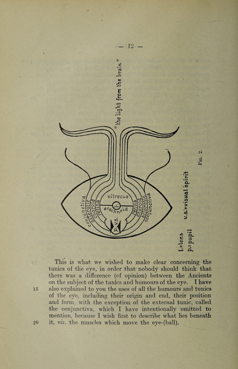 * rJZ ■U-t £ o o to This is what we wished to make clear concerning the tunics of the eye, in order that nobody should think that there was a difference (of opinion) between the Ancients on the subject of the tunics and humours of the eye. I have 15 also explained to you the uses of all the humours and tunics of the eye. including their origin and end, their position and form, with the exception of the external tunic, called the conjunctiva, which I have intentionally omitted to mention, because I wish first to describe what lies beneath 20 it, viz. the muscles which move the eye-(ball).