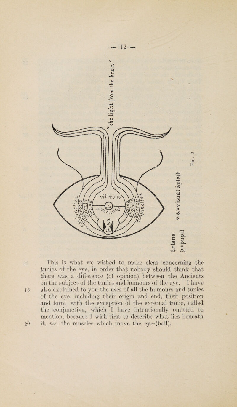 rd o t, 5<1 o M f=H This is what we wished to make dear concerning the tunics of the eye, in order that nobody should think that there was a difference (of opinion) between the Ancients on the subject of the tunics and humours of the eye. I have 15 also explained to you the uses of all the humours and tunics of the eye, including their origin and end, their position and form, with the exception of the external tunic, called the conjunctiva, which I have intentionally omitted to mention, because I wish first to describe what lies beneath 20 it, viz. the muscles which move the eye-(ball).