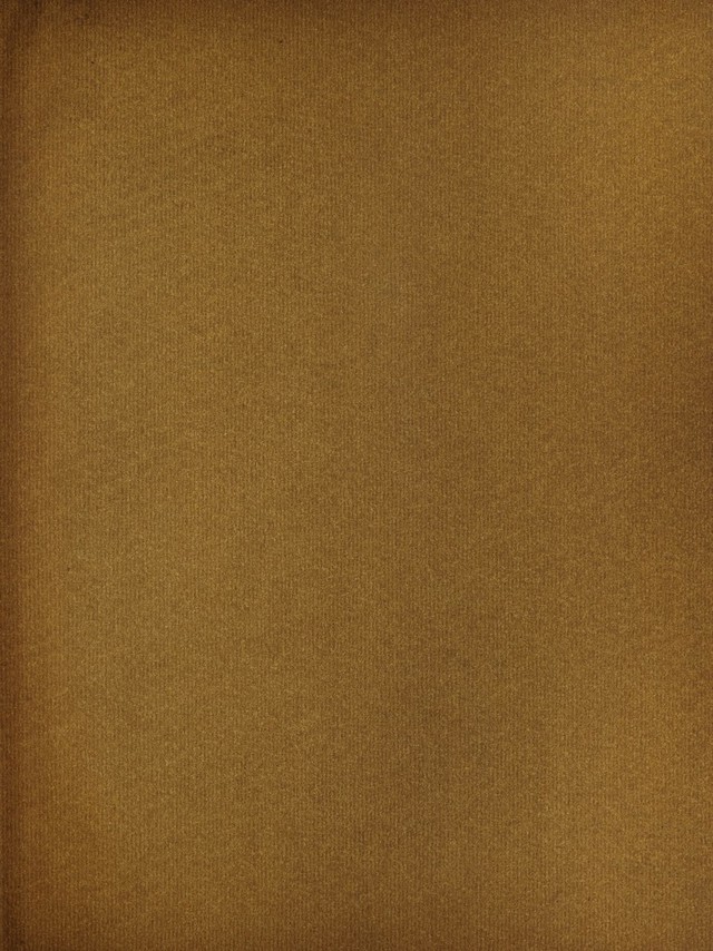 digitised image 3