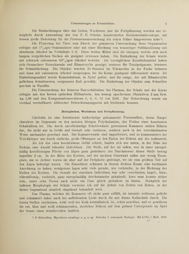 Die Beobachtungen über das Leben, Wachstum und die Fortpflanzung wurden nur er¬ möglicht durch Anwendung des von F. E. Schulze konstruierten Horizontalmikroskops, auf dessen große Bedeutung für die Protozoenuntersuchung ich schon früher hingewiesen habe1). Die Fixierung der Tiere zum Zweck der genaueren Untersuchung ihrer Organisation erfolgte mit l°/0iger Osmiumsäure oder mit einer Mischung von wässeriger Sublimatlösung mit absolutem Alkohol im Verhältnis 1:2. Diese beiden Mittel sind die einzigen, welche sich nach langem vergeblichen Suchen als geeignet erwiesen haben. Die Entkalkung der Schale wurde mit schwach salzsaurem 63°/0igen Alkohol bewirkt. Als vorzüglichste Kernfärbemittel haben sich Grenadiers Boraxkarmin und Hämatoxylin gezeigt; ersteres für Totalpräparate, letzteres für Schnittfärbung. Die Objekte wurden 24 Stunden im Wärmeofen in der Farbe belassen und dann mit salzsaurem Alkohol ausgezogen, bis die Kerne genügend differenziert waren. Als Einbettungsmittel wurde Kanadabalsam, in Xylol gelöst, und für einige, der mit Hämatoxylin gefärbten Schnittserien, essigsaures Kali gewählt. Die Einbettung der Objekte zum Schneiden geschah in Paraffin. Die Untersuchung der feineren Bauverhältnisse des Plasmas, der Schale und der Kerne erfolgte mit den besten optischen Hilfsmitteln, den homog. apochromat. Objektiven 2 mm Brw. Ap. 1,30 und den Kompensationsocularen 4, 6, 8, 12 von Zeiß. Zur Beleuchtung wurde ein vertikal verstellbarer Abbescher Beleuchtungsapparat mit Irisblende benutzt. Biologisches, Wachstum und Fortpflanzung. Calcituba ist eine festsitzende kalkschalige gekammerte Foraminifere, deren Haupt¬ charakter im Gegensatz zu den meisten übrigen Polythalamien, das Fehlen einer konstanten Schalenform ist. Die durch unvollständige Scheidewände getrennten Kammern stellen Röhren dar, die nicht nur in Größe und Gestalt sehr variieren, sondern auch in der verschiedensten Weise aneinander geordnet sind. Die Kammerwände sind imperforiert, und es kommuniziert der Weichkörper nur durch einfache, große Öffnungen an den Enden der Röhren mit der Außenwelt. Als ich das oben beschriebene Gefäß erhielt, fanden sich nur unten, in der Nähe des Bodens, eine Anzahl lebender Individuen. Die Stelle, auf der sie saßen, war in einer unregel¬ mäßig kreisförmigen Fläche von Algen ganz gesäubert; der Durchmesser dieser Stelle betrug ungefähr 2 cm. In der Mitte des Kreises, auf der nackten Glaswand saßen nur wenig Exem¬ plare, um so dichter waren sie aber auf der Peripherie gedrängt, wo sie zum größten Teil auf den Algen befestigt waren. Die Einzeltiere schienen in diesem dichten Kranz eine bestimmte Anordnung zu haben, wenigstens lagen sehr viele gerade, wie verästelte, in der Richtung der Radien des Kreises. Die Gestalt der einzelnen Individuen war sehr verschieden, kugel-, birn-, röhrenförmig, verästelt, ganz unregelmäßig durcheinander geknäuelt, kurz man konnte sicher sein, unter zehn Tieren auch nicht ein Paar gleich gestaltete zu finden. Bezüglich der äußeren Morphologie der Schale verweise ich auf die Arbeit von Zoltän von Roboz, in der dieser Gegenstand ziemlich eingehend behandelt wird. Das Plasma, welches die Kammern oft nicht ganz erfüllt, ist intensiv rotbraun gefärbt und schimmert daher auch bei auffallendem Licht durch die nur dünne Kalkschale durch. Die leeren Stellen erscheinen, wohl weil der Kalk kristallinisch ist, schön azurblau, und es gewähren die rot, blau und weiß schimmernden, zierlichen Röhren auf dem grünen Untergründe im Spiel der Sonne einen wundervollen Anblick.