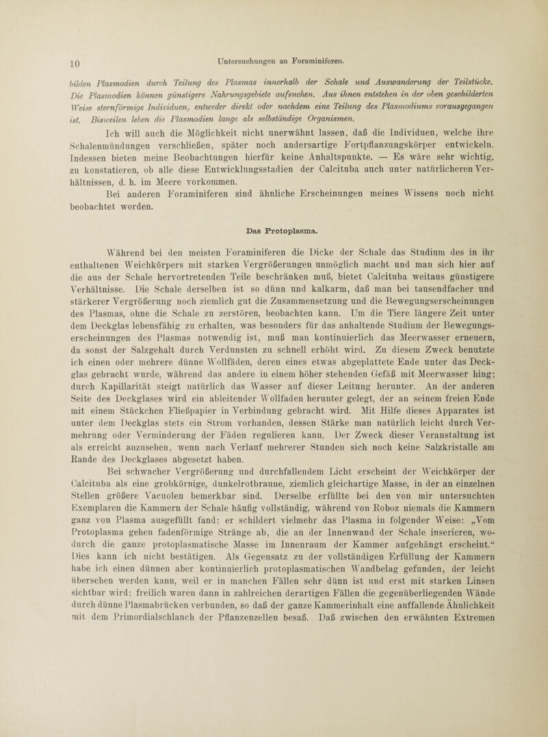 bilden Plasmodien durch Teilung des Plasmas innerhalb der Schale und Auswanderung der Teilstücke. Die Plasmodien können günstigere Nahrungsgebiete aufsuchen. Aus ihnen entstehen in der oben geschilderten Weise sternförmige Individuen, entweder direkt oder nachdem eine Teilung des Plasmodiums vorausgegangen ist. Bisweilen leben die Plasmodien lange als selbständige Organismen. Ich will auch die Möglichkeit nicht unerwähnt lassen, daß die Individuen, welche ihre Schalenmündungen verschließen, später noch andersartige Fortpflanzungskörper entwickeln. Indessen bieten meine Beobachtungen hierfür keine Anhaltspunkte. — Es wäre sehr wichtig, zu konstatieren, ob alle diese Entwicklungsstadien der Calcituba auch unter natürlicheren Ver¬ hältnissen, d. h. im Meere Vorkommen. Bei anderen Foraminiferen sind ähnliche Erscheinungen meines Wissens noch nicht beobachtet worden. Das Protoplasma. Während bei den meisten Foraminiferen die Dicke der Schale das Studium des in ihr enthaltenen Weichkörpers mit starken Vergrößerungen unmöglich macht und man sich hier auf die aus der Schale hervortretenden Teile beschränken muß, bietet Calcituba weitaus günstigere Verhältnisse. Die Schale derselben ist so dünn und kalkarm, daß man bei tausendfacher und stärkerer Vergrößerung noch ziemlich gut die Zusammensetzung und die Bewegungserscheinungen des Plasmas, ohne die Schale zu zerstören, beobachten kann. Um die Tiere längere Zeit unter dem Deckglas lebensfähig zu erhalten, was besonders für das anhaltende Studium der Bewegungs¬ erscheinungen des Plasmas notwendig ist, muß man kontinuierlich das Meerwasser erneuern, da sonst der Salzgehalt durch Verdunsten zu schnell erhöht wird. Zu diesem Zweck benutzte ich einen oder mehrere dünne Wollfäden, deren eines etwas abgeplattete Ende unter das Deck¬ glas gebracht wurde, während das andere in einem höher stehenden Gefäß mit Meerwasser hing; durch Kapillarität steigt natürlich das Wasser auf dieser Leitung herunter. An der anderen Seite des Deckglases wird ein ableitender Wollfäden herunter gelegt, der an seinem freien Ende mit einem Stückchen Fließpapier in Verbindung gebracht wird. Mit Hilfe dieses Apparates ist unter dem Deckglas stets ein Strom vorhanden, dessen Stärke man natürlich leicht durch Ver¬ mehrung oder Verminderung der Fäden regulieren kann. Der Zweck dieser Veranstaltung ist als erreicht anzusehen, wenn nach Verlauf mehrerer Stunden sich noch keine Salzkristalle am Rande des Deckglases abgesetzt haben. Bei schwacher Vergrößerung und durchfallendem Licht erscheint der Weichkörper der Calcituba als eine grobkörnige, dunkelrotbraune, ziemlich gleichartige Masse, in der an einzelnen Stellen größere Vacuolen bemerkbar sind. Derselbe erfüllte bei den von mir untersuchten Exemplaren die Kammern der Schale häufig vollständig, während von Roboz niemals die Kammern ganz von Plasma ausgefüllt fand; er schildert vielmehr das Plasma in folgender Weise: „Vom Protoplasma gehen fadenförmige Stränge ab, die an der Innenwand der Schale inserieren, wo¬ durch die ganze protoplasmatische Masse im Innenraum der Kammer aufgehängt erscheint.“ Dies kann ich nicht bestätigen. Als Gegensatz zu der vollständigen Erfüllung der Kammern habe ich einen dünnen aber kontinuierlich protoplasmatischen Wandbelag gefunden, der leicht übersehen werden kann, weil er in manchen Fällen sehr dünn ist und erst mit starken Linsen sichtbar wird; freilich waren dann in zahlreichen derartigen Fällen die gegenüberliegenden Wände durch dünne Plasmabrücken verbunden, so daß der ganze Kammerinhalt eine auffallende Ähnlichkeit mit dem Primordialschlauch der Pflanzenzellen besaß. Daß zwischen den erwähnten Extremen