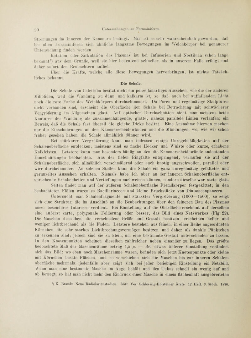 \ Strömungen im Inneren der Kammern bedingt. Mir ist es sehr wahrscheinlich geworden, daß bei allen Foraminiferen sich ähnliche langsame Bewegungen im Weichkörper bei genauerer Untersuchung finden werden Rotation oder Zirkulation des Plasmas ist bei Infusorien und Noctiluca schon lange bekannt1) aus dem Grunde, weil sie hier bedeutend schneller, als in unserem Falle erfolgt und daher sofort den Beobachtern auffiel. Über die Kräfte, welche alle diese Bewegungen hervorbringen, ist nichts 'ratsäch¬ liches bekannt. Die Schale. Die Schale von Calcituba besitzt nicht ein porzellanartiges Aussehen, wie die der anderen Milioliden, weil die Wandung zu dünn und kalkarm ist, so daß auch bei auffallendem Licht noch die rote Farbe des Weichkörpers durchschimmert. Da Poren und regelmäßige Skulpturen nicht vorhanden sind, erscheint die Oberfläche der Schale bei Betrachtung mit schwächerer Vergrößerung im Allgemeinen glatt. Auf optischen Durchschnitten sieht man meistens beide Konturen der Wandung als zusammenhängende, glatte, nahezu parallele Linien verlaufen; ein Beweis, daß die Schale fast überall die gleiche Dicke besitzt. Eine Ausnahme hiervon machen nur die Einschnürungen an den Kammerscheidewänden und die Mündungen, wo, wie wir schon früher gesehen haben, die Schale allmählich dünner wird. Bei stärkerer Vergrößerung kann man indessen einige Unregelmäßigkeiten auf der Schalenoberfläche entdecken; meistens sind es flache Höcker und Wülste oder kurze, erhabene Kalkleisten. Letztere kann man besonders häufig an den die Kammerscheidewände andeutenden Einschnürungen beobachten. Aus der tiefen Ringfalte entspringend, verlaufen sie auf der Schalenoberfläche, sich allmählich verschmälernd oder auch knotig angeschwollen, parallel oder wirr durcheinander. An solchen Stellen kann die Schale ein ganz unregelmäßig gefaltetes und gerunzeltes Aussehen erhalten. Niemals habe ich aber an der inneren Schalenoberfläche ent¬ sprechende Erhabenheiten und Vertiefungen nachweisen können, sondern dieselbe war stets glatt. Selten findet man auf der äußeren Schalenoberfläche Fremdkörper festgekittet; in den beobachteten Fällen waren es Bacillariaceen und kleine Bruchstücke von Diatomeenpanzern. Untersucht man Schalenfragmente mit stärkster Vergrößerung (1000—1500), so zeigt sich eine Struktur, die im Anschluß an die Beobachtungen über den feineren Bau des Plasmas unser besonderes Interesse verdient. Bei Einstellung auf die Oberfläche erscheint auf derselben eine äußerst zarte, polygonale Felderung oder besser, das Bild eines Netzwerkes (Fig. 22). Die Maschen desselben, die verschiedene Größe und Gestalt besitzen, erscheinen heller und weniger lichtbrechend als die Fäden. Letztere bestehen aus feinen, in einer Reihe angeordneten Körnchen, die sehr starkes Lichtbrechungsvermögen besitzen und daher als dunkle Pünktchen zu erkennen sind; jedoch sind sie zu klein, um eine bestimmte Gestalt unterscheiden zu lassen. In den Knotenpunkten scheinen dieselben zahlreicher neben einander zu liegen. Das größte beobachtete Maß der Maschenräume betrug 1,5 ju. — Bei etwas tieferer Einstellung verändert sich das Bild; wo eben noch Maschenräume waren, befinden sich jetzt Knotenpunkte oder kleine mit Körnchen besäte Flächen, und so verschieben sich die Maschen bis zur inneren Schalen¬ oberfläche mehrmals; jedenfalls aber zeigt sich bei jeder beliebigen Einstellung ein Netzbild. V enn man eine bestimmte Masche im Auge behält und den Tubus schnell ein wenig auf und ab bewegt, so hat man nicht mehr den Eindruck einer Masche in einem flächenhaft ausgebreiteten ’) K. Brandt, Neue Radiolarienstudien. Mitt. Ver. Schleswig-Holsteiner Ärzte. 12. Heft. 3. Stück. 1890.