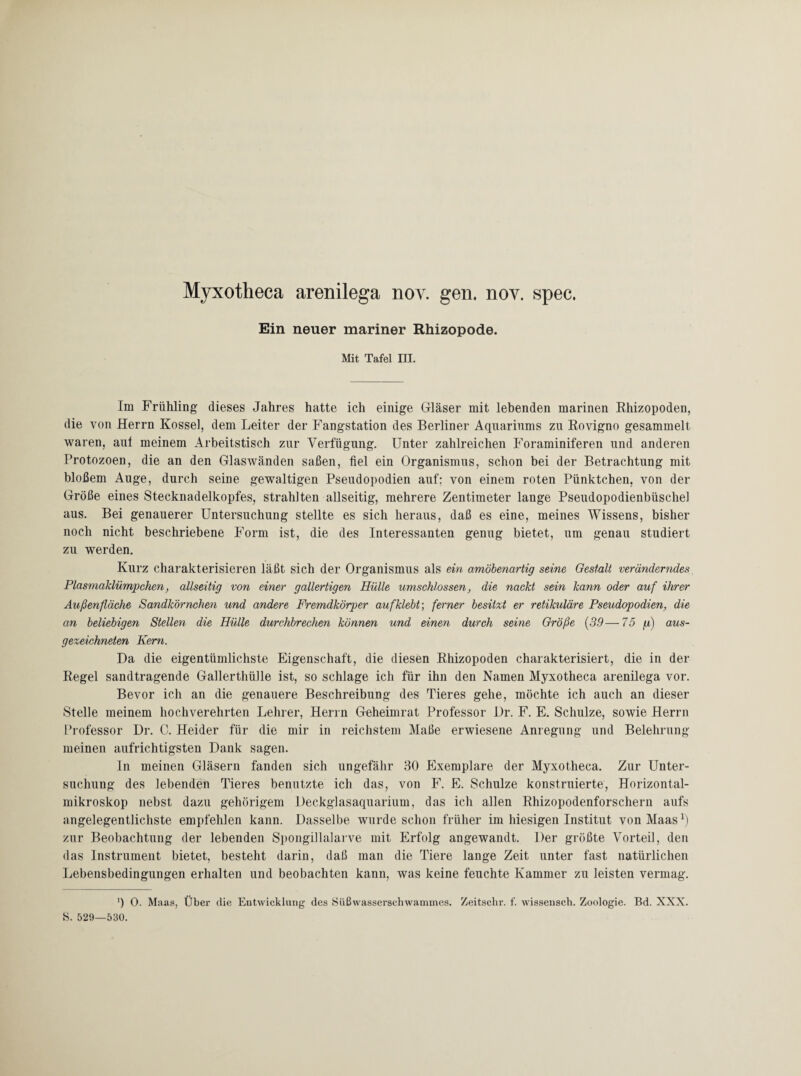 Myxotheca arenilega nov. gen. nov. spec. Ein neuer mariner Rhizopode. Mit Tafel III. Lin Frühling dieses Jahres hatte ich einige Gläser mit lebenden marinen Rhizopoden, die von Herrn Kossel, dem Leiter der Fangstation des Berliner Aquariums zu Rovigno gesammelt waren, aut meinem Arbeitstisch zur Verfügung. Unter zahlreichen Foraminiferen und anderen Protozoen, die an den Glaswänden saßen, fiel ein Organismus, schon bei der Betrachtung mit bloßem Auge, durch seine gewaltigen Pseudopodien auf: von einem roten Pünktchen, von der Größe eines Stecknadelkopfes, strahlten allseitig, mehrere Zentimeter lange Pseudopodienbüschel aus. Bei genauerer Untersuchung stellte es sich heraus, daß es eine, meines Wissens, bisher noch nicht beschriebene Form ist, die des Interessanten genug bietet, um genau studiert zu werden. Kurz charakterisieren läßt sich der Organismus als ein amöbenartig seine Gestalt veränderndes Plasmaklümpchen, allseitig von einer gallertigen Hülle umschlossen, die nackt sein kann oder auf ihrer Außenfläche Sandkörnchen und andere Fremdkörper auf klebt-, ferner besitzt er retikuläre Pseudopodien, die an beliebigen Stellen die Hülle durchbrechen können und einen durch seine Größe (39—75 g) aus¬ gezeichneten Kern. Da die eigentümlichste Eigenschaft, die diesen Rhizopoden charakterisiert, die in der Regel sandtragende Gallerthülle ist, so schlage ich für ihn den Namen Myxotheca arenilega vor. Bevor ich an die genauere Beschreibung des Tieres gehe, möchte ich auch an dieser Stelle meinem hochverehrten Lehrer, Herrn Geheimrat Professor Dr. F. E. Schulze, sowie Herrn Professor Dr. C. Heider für die mir in reichstem Maße erwiesene Anregung und Belehrung meinen aufrichtigsten Dank sagen. In meinen Gläsern fanden sich ungefähr 30 Exemplare der Myxotheca. Zur Unter¬ suchung des lebenden Tieres benutzte ich das, von F. E. Schulze konstruierte, Horizontal¬ mikroskop nebst dazu gehörigem Deckglasaquarium, das ich allen Rhizopodenforschern aufs angelegentlichste empfehlen kann. Dasselbe wurde schon früher im hiesigen Institut von Maas r) zur Beobachtung der lebenden Spongillalarve mit Erfolg angewandt. Der größte Vorteil, den das Instrument bietet, besteht darin, daß man die Tiere lange Zeit unter fast natürlichen Lebensbedingungen erhalten und beobachten kann, was keine feuchte Kammer zu leisten vermag. ') 0. Maas, Über die Entwicklung des Süßwasserschwammes. Zeitsclir. f. wissensch. Zoologie. Bd. XXX. S. 529—530.