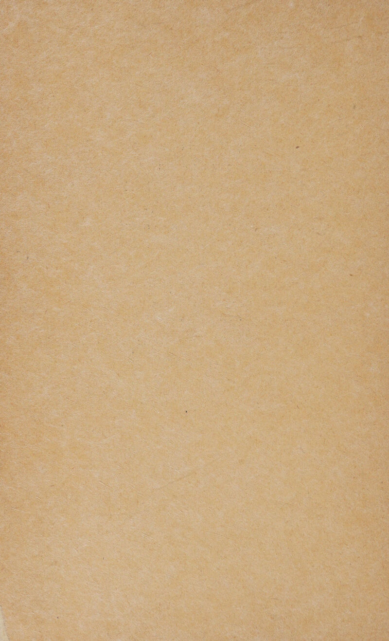 gfgfejyX:-'. P : --- - g**VvII<-' Î' . - - y K:' y_ > ,' - » ’ igp! > <- ^ -Vi J , ’ pp-** ^ vr - ’:PP: - .’! . - • -P,V. ÉP|P-;J m - ■ '-~J~s- .. k '' * : £ai 5&t . - - v ' v ? •■'• - ■'Vi, : . P , ■ ' ':•=• ■ i-’ ‘\ Î xrV-V'' ^ - ■ -■ ■ ■ .. - - - ■ * jx^ï.-:-':. V , ‘ ' >■ \ ■.:. - t ; > j- ■';■•• -