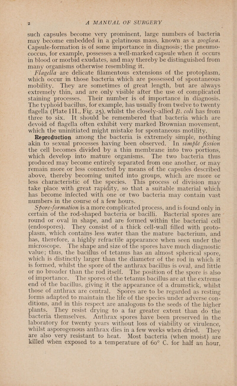 such capsules become very prominent, large numbers of bacteria may become embedded in a gelatinous mass, known as a zooglcea. Capsule-formation is of some importance in diagnosis; the pneumo¬ coccus, for example, possesses a well-marked capsule when it occurs in blood or morbid exudates, and may thereby be distinguished from many organisms otherwise resembling it. Flagella are delicate filamentous extensions of the protoplasm, which occur in those bacteria which are possessed of spontaneous mobility. They are sometimes of great length, but are always extremely thin, and are only visible after the use of complicated staining processes. Their number is of importance in diagnosis. The typhoid bacillus, for example, has usually from twelve to twenty flagella (Plate III., Fig. 25), whilst the closely-allied B. coli has from three to six. It should be remembered that bacteria which are devoid of flagella often exhibit very marked Brownian movement, which the uninitiated might mistake for spontaneous motility. Reproduction among the bacteria is extremely simple, nothing akin to sexual processes having been observed. In simple fission the cell becomes divided by a thin membrane into two portions, which develop into mature organisms. The two bacteria thus produced may become entirely separated from one another, or may remain more or less connected by means of the capsules described above, thereby becoming united into groups, which are more or less characteristic of the species. This process of division may take place with great rapidity, so that a suitable material which has become infected with one or two bacteria may contain vast numbers in the course of a few hours. Spore-formation is a more complicated process, and is found only in certain of the rod-shaped bacteria or bacilli. Bacterial spores are round or oval in shape, and are formed within the bacterial cell (endospores). They consist of a thick cell-wall filled with proto¬ plasm, which contains less water than the mature bacterium, and has, therefore, a highly refractile appearance when seen under the microscope. The shape and size of the spores have much diagnostic value; thus, the bacillus of tetanus has an almost spherical spore, which is distinctly larger than the diameter of the rod in which it is formed, whilst the spore of the anthrax bacillus is oval, and little or no broader than the rod itself. The position of the spore is also of importance. The spores of the tetanus bacillus are at the extreme end of the bacillus, giving it the appearance of a drumstick, whilst those of anthrax are central. Spores are to be regarded as resting forms adapted to maintain the life of the species under adverse con¬ ditions, and in this respect are analogous to the seeds of the higher plants. They resist drying to a far greater extent than do the bacteria themselves. Anthrax spores have been preserved in the laboratory for twenty years without loss of viability or virulence, whilst asporogenous anthrax dies in a few weeks when dried. They are also very resistant to heat. Most bacteria (when moist) are killed when exposed to a temperature of 6o° C. for half an hour,