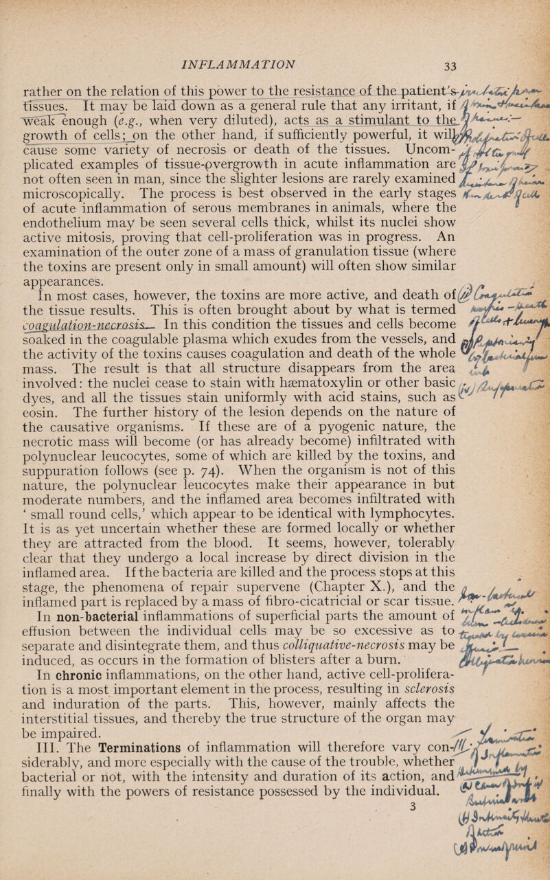 rather on the relation of this power to the resistance of the patient tissues. It may be laid down as a general rule that any irritant, if ■weak ^enough (e.g., when very diluted), acts as a stimulant to the growth of cells ;_on the other hand, if sufficiently powerful, it wil, cause some variety of necrosis or death of the tissues. Uncom¬ plicated examples of tissue-pvergrowth in acute inflammation are not often seen in man, since the slighter lesions are rarely examined q microscopically. The process is best observed in the early stages of acute inflammation of serous membranes in animals, where the endothelium may be seen several cells thick, whilst its nuclei show active mitosis, proving that cell-proliferation was in progress. An examination of the outer zone of a mass of granulation tissue (where the toxins are present only in small amount) will often show similar appearances. In most cases, however, the toxins are more active, and death o the tissue results. This is often brought about by what is termed , coagulation-necrosis._ In this condition the tissues and cells become soaked in the coagulable plasma which exudes from the vessels, and Uo /-if +Ua Invinc rancpc rnamilatinn anrl HpafVi nf +hp wtinlp rf /iw * * m the activity of the toxins causes coagulation and death of the whole mass. The result is that all structure disappears from the area involved: the nuclei cease to stain with hsematoxylin or other basic ^ M dyes, and all the tissues stain uniformly with acid stains, such as^y eosin. The further history of the lesion depends on the nature of the causative organisms. If these are of a pyogenic nature, the necrotic mass will become (or has already become) infiltrated with polynuclear leucocytes, some of which are killed by the toxins, and suppuration follows (see p. 74). When the organism is not of this nature, the polynuclear leucocytes make their appearance in but moderate numbers, and the inflamed area becomes infiltrated with ‘ small round cells,’ which appear to be identical with lymphocytes. It is as yet uncertain whether these are formed locally or whether they are attracted from the blood. It seems, however, tolerably clear that they undergo a local increase by direct division in the inflamed area. If the bacteria are killed and the process stops at this stage, the phenomena of repair supervene (Chapter X.), and the ^ inflamed part is replaced by a mass of fibro-cicatricial or scar tissue. In non-bacterial inflammations of superficial parts the amount of effusion between the individual cells may be so excessive as to separate and disintegrate them, and thus colliquative-necrosis may be induced, as occurs in the formation of blisters after a burn. In chronic inflammations, on the other hand, active cell-prolifera¬ tion is a most important element in the process, resulting in sclerosis and induration of the parts. This, however, mainly affects the interstitial tissues, and thereby the true structure of the organ may be impaired. ^ III. The Terminations of inflammation will therefore vary con-/(C siderably, and more especially with the cause of the trouble, whether ^ bacterial or not, with the intensity and duration of its action, and ' finally with the powers of resistance possessed by the individual. 3 ij) ftutc*