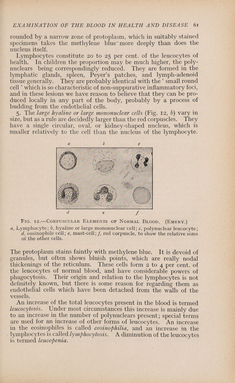 rounded by a narrow zone of protoplasm, which in suitably stained specimens takes the methylene blue‘more deeply than does the nucleus itself. Lymphocytes constitute 20 to 25 per cent, of the leucocytes of health. In children the proportion may be much higher, the poly- nuclears being correspondingly reduced. They are formed in the lymphatic glands, spleen, Peyer’s patches, and lymph-adenoid tissue generally. They are probably identical with the ‘ small round cell ’ which is so characteristic of non-suppurative inflammatory foci, and in these lesions we have reason to believe that they can be pro¬ duced locally in any part of the body, probably by a process of budding from the endothelial cells. 5. The large hyaline or large mononuclear cells (Fig. 12, b) vary in size, but as a rule are decidedly larger than the red corpuscles. They have a single circular, oval, or kidney-shaped nucleus, which is smaller relatively to the cell than the nucleus of the lymphocyte. a b c d e f Fig. 12.—Corpuscular Elements of Normal Blood. (Emery.) a, Lymphocyte; b, hyaline or large mononuclear cell; c, polynuclear leucocyte; d, eosinophile cell; e, mast-cell;/, red corpuscle, to show the relative sizes of the other cells. The protoplasm stains faintly with methylene blue. It is devoid of granules, but often shows bluish points, which are really nodal thickenings of the reticulum. These cells form 2 to 4 per cent, of the leucocytes of normal blood, and have considerable powers of phagocytosis. Their origin and relation to the lymphocytes is not definitely known, but there is some reason for regarding them as endothelial cells which have been detached from the walls of the vessels. An increase of the total leucocytes present in the blood is termed leucocytosis. Under most circumstances this increase is mainly due to an increase in the number of polynuclears present; special terms are used for an increase of other forms of leucocytes. An increase in the eosinophiles is called eosinophilia, and an increase in the lymphocytes is called lymphocytosis. A diminution of the leucocytes is termed leucopenia.