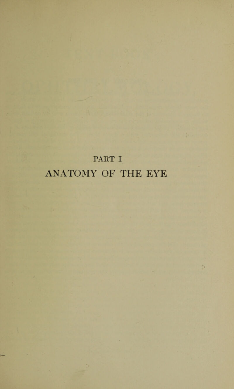 ANATOMY OF THE EYE