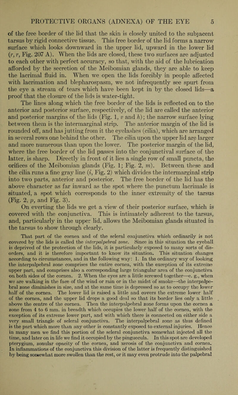 of the free border of the lid that the skin is closely united to the subjacent tarsus by rigid connective tissue. This free border of the lid forms a narrow surface which looks downward in the upper lid, upward in the lower lid (r, r, Fig. 207 A). When the lids are closed, these two surfaces are adjusted to each other with perfect accuracy, so that, with the aid of the lubrication afforded by the secretion of the Meibomian glands, they are able to keep the lacrimal fluid in. When we open the lids forcibly in people affected with lacrimation and blepharospasm, we not infrequently see spurt from the eye a stream of tears which have been kept in by the closed lids—a proof that the closure of the lids is water-tight. The lines along which the free border of the lids is reflected on to the anterior and posterior surface, respectively, of the lid are called the anterior and posterior margins of the lids (Fig. 1, v and h)] the narrow surface lying between them is the intermarginal strip. The anterior margin of the lid is rounded off, and has jutting from it the eyelashes (cilia), which are arranged in several rows one behind the other. The cilia upon the upper lid are larger and more numerous than upon the lower. The posterior margin of the lid, where the free border of the lid passes into the conjunctival surface of the latter, is sharp. Directly in front of it lies a single row of small puncta, the orifices of the Meibomian glands (Fig. 1; Fig. 2, m). Between these and the cilia runs a fine gray line (i, Fig. 2) which divides the intermarginal strip into two parts, anterior and posterior. The free border of the lid has the above character as far inward as the spot where the punctum lacrimale is situated, a spot which corresponds to the inner extremity of the tarsus (Fig. 2, p, and Fig. 3). On everting the lids we get a view of their posterior surface, which is covered with the conjunctiva. This is intimately adherent to the tarsus, and, particularly in the upper lid, allows the Meibomian glands situated in the tarsus to show through clearly. That part of the cornea and of the scleral conjunctiva which ordinarily is not covered by the lids is called the inter palpebral zone. Since in this situation the eyeball is deprived of the protection of the lids, it is particularly exposed to many sorts of dis¬ orders, and it is therefore important to know its situation. This situation changes according to circumstances, and in the following way: 1. In the ordinary way of looking the interpalpebral zone comprises the entire cornea, with the exception of its extreme upper part, and comprises also a corresponding large triangular area of the conjunctiva, on both sides of the cornea. 2. When the eyes are a little screwed together—e. g., when we are walking in the face of the wind or rain or in the midst of smoke—the interpalpe¬ bral zone diminishes in size, and at the same time is depressed so as to occupy the lower half of the cornea. The lower lid is raised a little and covers the extreme lower half of the cornea, and the upper lid drops a good deal so that its border lies only a little above the centre of the cornea. Then the interpalpebral zone forms upon the cornea a zone from 4 to 6 mm. in breadth which occupies the lower half of the cornea, with the exception of its extreme lower part, and with which there is connected on either side a very small triangle of scleral conjunctiva. The interpalpebral zone as thus defined is the part which more than any other is constantly exposed to external injuries. Hence in many men we find this portion of the scleral conjunctiva somewhat injected all the time, and later on in life we find it occupied by the pinguecula. In this spot are developed pterygium, zonular opacity of the cornea, and xerosis of the conjunctiva and cornea. In inflammations of the conjunctiva this division of the latter is frequently distinguished by being somewhat more swollen than the rest, or it may even protrude into the palpebral