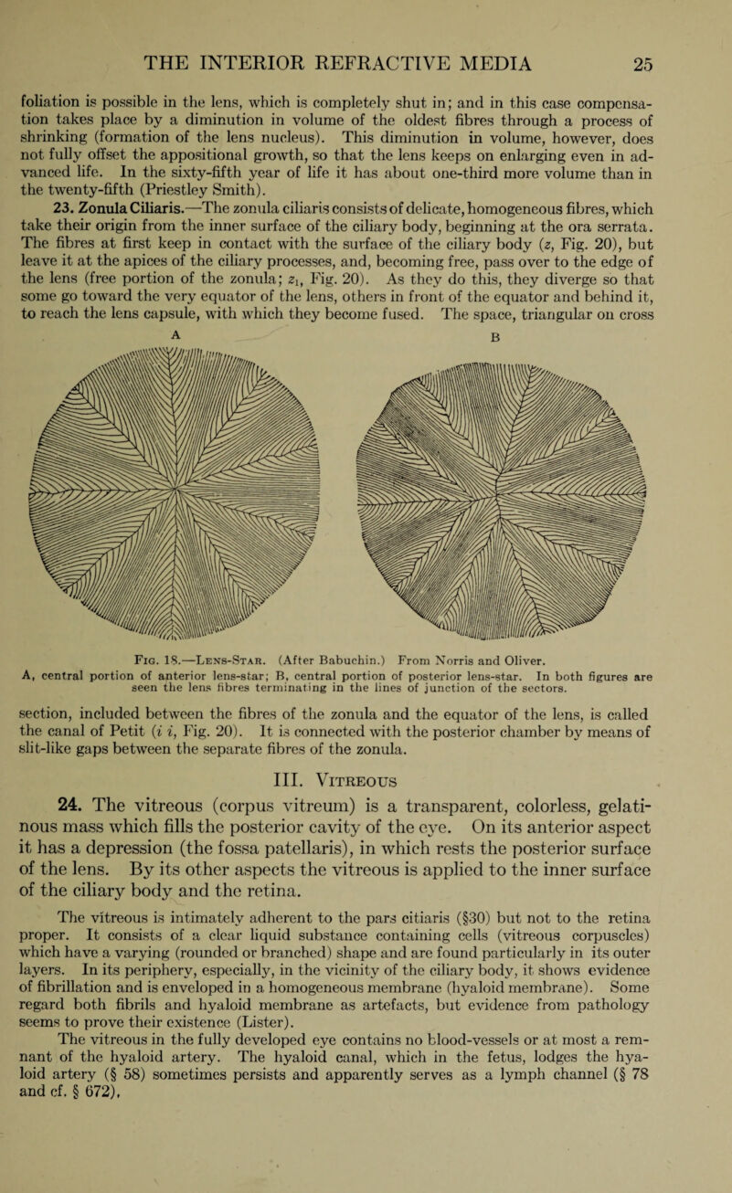 foliation is possible in the lens, which is completely shut in; and in this case compensa¬ tion takes place by a diminution in volume of the oldest fibres through a process of shrinking (formation of the lens nucleus). This diminution in volume, however, does not fully offset the appositional growth, so that the lens keeps on enlarging even in ad¬ vanced life. In the sixty-fifth year of life it has about one-third more volume than in the twenty-fifth (Priestley Smith). 23. Zonula Ciliaris.—The zonula ciliaris consists of delicate, homogeneous fibres, which take their origin from the inner surface of the ciliary body, beginning at the ora serrata. The fibres at first keep in contact with the surface of the ciliary body (z, Fig. 20), but leave it at the apices of the ciliary processes, and, becoming free, pass over to the edge of the lens (free portion of the zonula; zh Fig. 20). As they do this, they diverge so that some go toward the very equator of the lens, others in front of the equator and behind it, to reach the lens capsule, with which they become fused. The space, triangular on cross Fig. IS.—Lens-Star. (After Babuchin.) From Norris and Oliver. A, central portion of anterior lens-star; B, central portion of posterior lens-star. In both figures are seen the lens fibres terminating in the lines of junction of the sectors. section, included between the fibres of the zonula and the equator of the lens, is called the canal of Petit (i i, Fig. 20). It is connected with the posterior chamber by means of slit-like gaps between the separate fibres of the zonula. III. Vitreous 24. The vitreous (corpus vitreum) is a transparent, colorless, gelati¬ nous mass which fills the posterior cavity of the eye. On its anterior aspect it has a depression (the fossa patellaris), in which rests the posterior surface of the lens. By its other aspects the vitreous is applied to the inner surface of the ciliary body and the retina. The vitreous is intimately adherent to the pars citiaris (§30) but not to the retina proper. It consists of a clear liquid substance containing cells (vitreous corpuscles) which have a varying (rounded or branched) shape and are found particularly in its outer layers. In its periphery, especially, in the vicinity of the ciliary body, it shows evidence of fibrillation and is enveloped in a homogeneous membrane (hyaloid membrane). Some regard both fibrils and hyaloid membrane as artefacts, but evidence from pathology seems to prove their existence (Lister). The vitreous in the fully developed eye contains no blood-vessels or at most a rem¬ nant of the hyaloid artery. The hyaloid canal, which in the fetus, lodges the hya¬ loid artery (§ 58) sometimes persists and apparently serves as a lymph channel (§ 78 and cf. § 672),