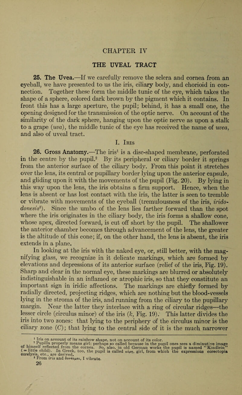 THE UVEAL TRACT 25. The Uvea.—If we carefully remove the sclera and cornea from an eyeball, we have presented to us the iris, ciliary body, and chorioid in con¬ nection. Together these form the middle tunic of the eye, which takes the shape of a sphere, colored dark brown by the pigment which it contains. In front this has a large aperture, the pupil; behind, it has a small one, the opening designed for the transmission of the optic nerve. On account of the similarity of the dark sphere, hanging upon the optic nerve as upon a stalk to a grape (uva), the middle tunic of the eye has received the name of uvea, and also of uveal tract. I. Iris 26. Gross Anatomy.—The iris1 is a disc-shaped membrane, perforated in the centre by the pupil.2 By its peripheral or ciliary border it springs from the anterior surface of the ciliary body. From this point it stretches over the lens, its central or pupillary border lying upon the anterior capsule, and gliding upon it with the movements of the pupil (Fig. 20). By lying in this way upon the lens, the iris obtains a firm support. Hence, when the lens is absent or has lost contact with the iris, the latter is seen to tremble or vibrate with movements of the eyeball (tremulousness of the iris, irido- donesis3). Since the umbo of the lens lies farther forward than the spot where the iris originates in the ciliary body, the iris forms a shallow cone, whose apex, directed forward, is cut off short by the pupil. The shallower the anterior chamber becomes through advancement of the lens, the greater is the altitude of this cone; if, on the other hand, the lens is absent, the iris extends in a plane. In looking at the iris with the naked eye, or, still better, with the mag¬ nifying glass, we recognize in it delicate markings, which are formed by elevations and depressions of its anterior surface (relief of the iris, Fig. 19). Sharp and clear in the normal eye, these markings are blurred or absolutely indistinguishable in an inflamed or atrophic iris, so that they constitute an important sign in iridic affections. The markings are chiefly formed by radially directed, projecting ridges, which are nothing but the blood-vessels lying in the stroma of the iris, and running from the ciliary to the pupillary margin. Near the latter they interlace with a ring of circular ridges—the lesser circle (circulus minor) of the iris (k, Fig. 19): This latter divides the iris into two zones: that lying to the periphery of the circulus minor is the ciliary zone (C); that lying to the central side of it is the much narrower * Iris on account of its rainbow shape, not on account of its color. 2 Pupil!a properly means girl; perhaps so called because in the pupil ones sees a diminutive image of himself reflected from the cornea. So, also, in old German works the pupil is named “Kindlein” ( = little child). In Greek, too, the pupil is called nop-q, girl, from which the expressions corectopia corelysis, etc., are derived. 3 From iris and doviopai, I vibrate.