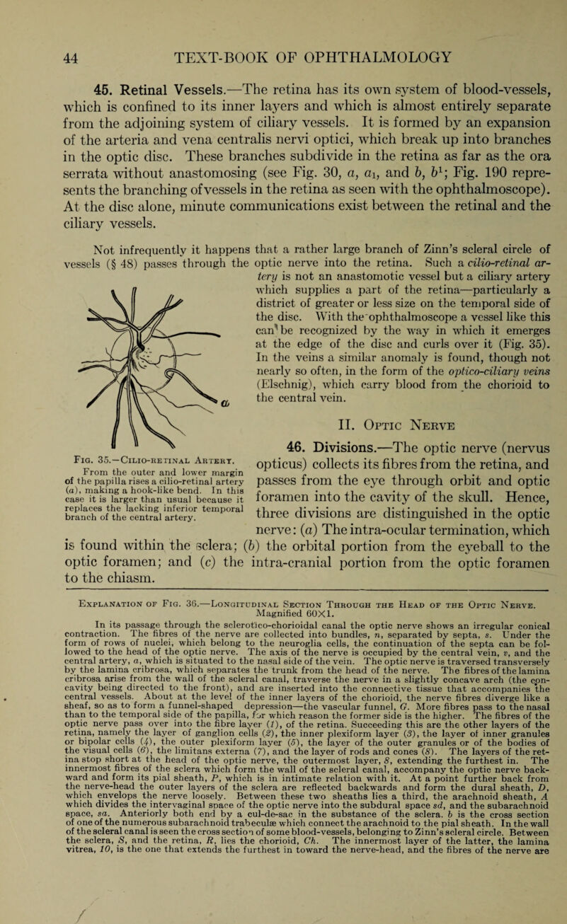 45. Retinal Vessels.—The retina has its own system of blood-vessels, which is confined to its inner layers and which is almost entirely separate from the adjoining system of ciliary vessels. It is formed by an expansion of the arteria and vena centralis nervi optici, which break up into branches in the optic disc. These branches subdivide in the retina as far as the ora serrata without anastomosing (see Fig. 30, a, ah and b, b1; Fig. 190 repre¬ sents the branching of vessels in the retina as seen with the ophthalmoscope). At the disc alone, minute communications exist between the retinal and the ciliary vessels. Not infrequently it happens that a rather large branch of Zinn’s scleral circle of vessels (§ 48) passes through the optic nerve into the retina. Such a cilio-retinal ar¬ tery is not an anastomotic vessel but a ciliary artery which supplies a part of the retina—particularly a district of greater or less size on the temporal side of the disc. With the ophthalmoscope a vessel like this can1 be recognized by the way in which it emerges at the edge of the disc and curls over it (Fig. 35). In the veins a similar anomaly is found, though not nearly so often, in the form of the optico-ciliary veins (Elschnig), which carry blood from the chorioid to the central vein. II. Optic Nerve 46. Divisions.—The optic nerve (nervus opticus) collects its fibres from the retina, and passes from the eye through orbit and optic foramen into the cavity of the skull. Hence, three divisions are distinguished in the optic nerve: (a) The intra-ocular termination, which is found within the tsclera; (b) the orbital portion from the eyeball to the optic foramen; and (c) the intra-cranial portion from the optic foramen to the chiasm. From the outer and lower margin of the papilla rises a cilio-retinal artery (a), making a hook-like bend. In this case it is larger than usual because it replaces the lacking inferior temporal branch of the central artery. Explanation of Fig. 36.—Longitudinal Section Through the Head of the Optic Nerve. Magnified 60X1. In its passage through the sclerot'ico-chorioidal canal the optic nerve shows an irregular conical contraction. The fibres of the nerve are collected into bundles, n, separated by septa, s. Under the form of rows of nuclei, which belong to the neuroglia cells, the continuation of the septa can be fol¬ lowed to the head of the optic nerve. The axis of the nerve is occupied by the central vein, v, and the central artery, a, which is situated to the nasal side of the vein. The optic nerve is traversed transversely by the lamina cribrosa, which separates the trunk from the head of the nerve. The fibres of the lamina cribrosa arise from the wall of the scleral canal, traverse the nerve in a slightly concave arch (the con¬ cavity being directed to the front), and are inserted into the connective tissue that accompanies the central vessels. About at the level of the inner layers of the chorioid, the nerve fibres diverge like a sheaf, so as to form a funnel-shaped depression—the vascular funnel, G. More fibres pass to the nasal than to the temporal side of the papilla, for which reason the former side is the higher. The fibres of the optic nerve pass over into the fibre layer (1), of the retina. Succeeding this are the other layers of the retina, namely the layer of ganglion cells (2), the inner plexiform layer (S), the layer of inner granules or bipolar cells (4), the outer plexiform layer (5), the layer of the outer granules or of the bodies of the visual cells (6), the limitans externa (7), and the layer of rods and cones (8). The layers of the ret¬ ina stop short at the head of the optic nerve, the outermost layer, 8, extending the furthest in. The innermost fibres of the sclera which form the wall of the scleral canal, accompany the optic nerve back¬ ward and form its pial sheath, P, which is in intimate relation with it. At a point further back from the nerve-head the outer layers of the sclera are reflected backwards and form the dural sheath, D, which envelops the nerve loosely. Between these two sheaths lies a third, the arachnoid sheath, A which divides the intervaginal soace of the optic nerve into the subdural space sd, and the subarachnoid space, sa. Anteriorly both end by a cul-de-sac in the substance of the sclera, b is the cross section of one of the numerous subarachnoid trabeculae which connect the arachnoid to the pial sheath. In the wall of the scleral canal is seen the cross section of some blood-vessels, belonging to Zinn’s scleral circle. Between the sclera, S, and the retina, R, lies the chorioid, Ch. The innermost layer of the latter, the lamina vitrea, 10, is the one that extends the furthest in toward the nerve-head, and the fibres of the nerve are