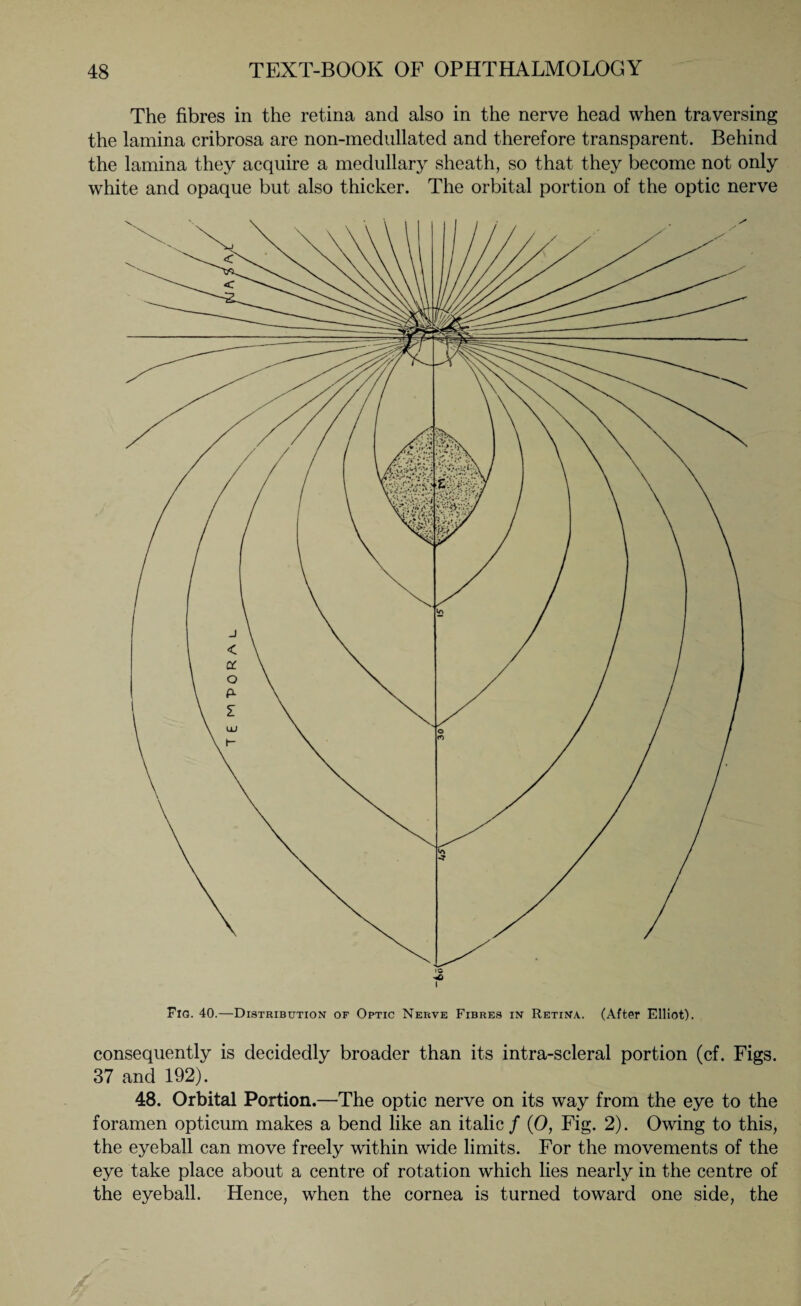 The fibres in the retina and also in the nerve head when traversing the lamina cribrosa are non-medullated and therefore transparent. Behind the lamina they acquire a medullary sheath, so that they become not only white and opaque but also thicker. The orbital portion of the optic nerve ic I Fig. 40.—Distribution of Optic Nerve Fibres in Retina. (After Elliot). consequently is decidedly broader than its intra-scleral portion (cf. Figs. 37 and 192). 48. Orbital Portion.—The optic nerve on its way from the eye to the foramen opticum makes a bend like an italic / (0, Fig. 2). Owing to this, the eyeball can move freely within wide limits. For the movements of the eye take place about a centre of rotation which lies nearly in the centre of the eyeball. Hence, when the cornea is turned toward one side, the