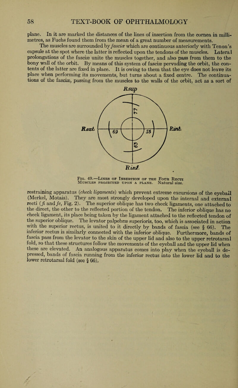 plane. In it are marked the distances of the lines of insertion from the cornea in milli¬ metres, as Fuchs found them from the mean of a great number of measurements. The muscles are surrounded byfascice which are continuous anteriorly with Tenon's capsule at the spot where the latter is reflected upon the tendons of the muscles. Lateral prolongations of the fasciae unite the muscles together, and also pass from them to the bony wall of the orbit. By means of this system of fasciae pervading the orbit, the con¬ tents of the latter are fixed in place. It is owing to them that the eye does not leave its place when performing its movements, but turns about a fixed centre. The continua¬ tions of the fasciae, passing from the muscles to the walls of the orbit, act as a sort of Fig. 49.—Lines of Insertion of the Four Recti Muscles projected upon a plane. Natural size. restraining apparatus (check ligaments) which prevent extreme excursions of the eyeball (Merkel, Motais). They are most strongly developed upon the internal and external recti (fi and fe, Fig. 2). The superior oblique has two check ligaments, one attached to the direct, the other to the reflected portion of the tendon. The inferior oblique has no check ligament, its place being taken by the ligament attached to the reflected tendon of the superior oblique. The levator palpebrae superioris, too, which is associated in action with the superior rectus, is united to it directly by bands of fascia (see § 66). The inferior rectus is similarly connected with the inferior oblique. Furthermore, bands of fascia pass from the levator to the skin of the upper lid and also to the upper retrotarsal fold, so that these structures follow the movements of the eyeball and the upper lid when these are elevated. An analogous apparatus comes into play when the eyeball is de¬ pressed, bands of fascia running from the inferior rectus into the lower lid and to the lower retrotarsal fold (see § 66) f