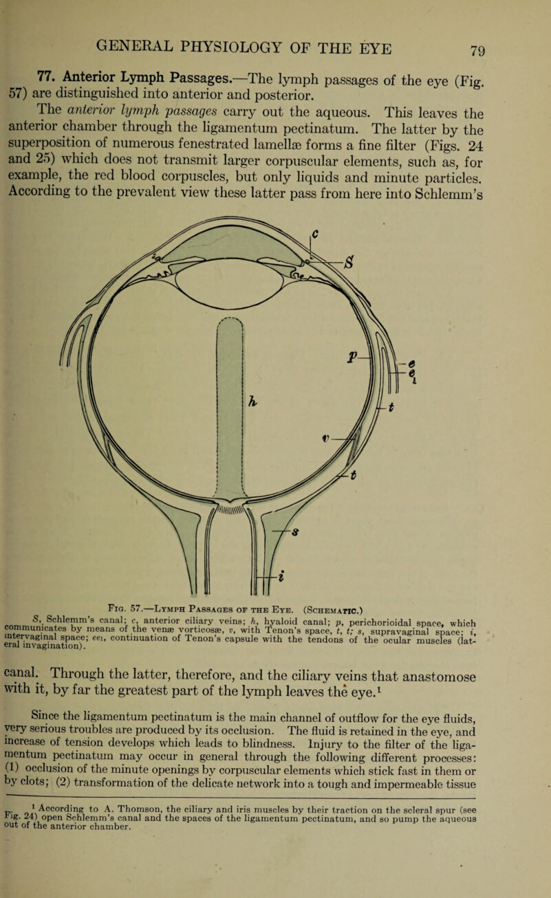 77. Anterior Lymph Passages.—The lymph passages of the eye (Fig. 57) are distinguished into anterior and posterior. The anterior lymph passages carry out the aqueous. This leaves the anterior chamber through the ligamentum pectinatum. The latter by the superposition of numerous fenestrated lamellae forms a fine filter (Figs. 24 and 25) which does not transmit larger corpuscular elements, such as, for example, the red blood corpuscles, but only liquids and minute particles. According to the prevalent view these latter pass from here into Schlemm’s Fig. 57.—Lymph Passages of the Eye. (Schematic.) Schlemm s canal; c, anterior ciliary veins; h, hyaloid canal; p, perichorioidal space, which communicates by means of the venae vorticosae, v, with Tenon’s space, t, t; s, supravaginal space; i, mtervaginal space; eei, continuation of Tenon’s capsule with the tendons of the ocular muscles (lat¬ eral invagination). canal. Through the latter, therefore, and the ciliary veins that anastomose with it, by far the greatest part of the lymph leaves the eye.1 Since the ligamentum pectinatum is the main channel of outflow for the eye fluids, very serious troubles are produced by its occlusion. The fluid is retained in the eye, and increase of tension develops which leads to blindness. Injury to the filter of the liga- mentum pectinatum may occur in general through the following different processes: (1) occlusion of the minute openings by corpuscular elements which stick fast in them or by clots; (2) transformation of the delicate network into a tough and impermeable tissue p. 1 According to A. Thomson, the ciliary and iris muscles by their traction on the scleral spur (see rig. 24) open Schlemm’s canal and the spaces of the ligamentum pectinatum, and so pump the aqueous out of the anterior chamber.