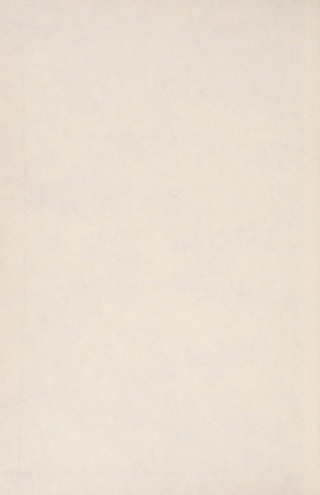 digitised image 2