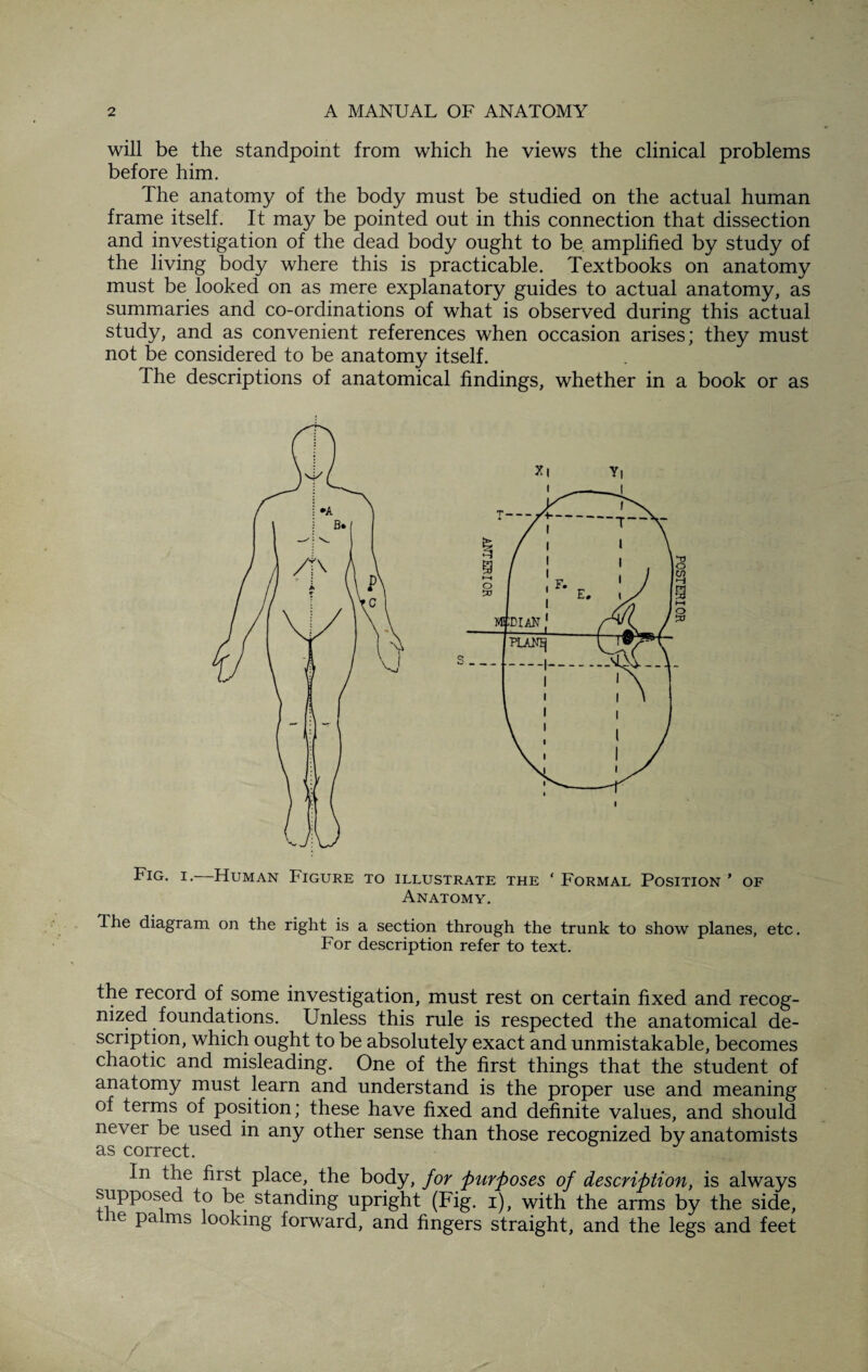 will be the standpoint from which he views the clinical problems before him. The anatomy of the body must be studied on the actual human frame itself. It may be pointed out in this connection that dissection and investigation of the dead body ought to be amplified by study of the living body where this is practicable. Textbooks on anatomy must be looked on as mere explanatory guides to actual anatomy, as summaries and co-ordinations of what is observed during this actual study, and as convenient references when occasion arises; they must not be considered to be anatomy itself. The descriptions of anatomical findings, whether in a book or as Fig. i. Human Figure to illustrate the ‘ Formal Position ’ of Anatomy. The diagram on the right is a section through the trunk to show planes, etc. For description refer to text. the record of some investigation, must rest on certain fixed and recog¬ nized foundations. Unless this rule is respected the anatomical de¬ scription, which ought to be absolutely exact and unmistakable, becomes chaotic and misleading. One of the first things that the student of anatomy must learn and understand is the proper use and meaning of terms of position; these have fixed and definite values, and should never be used in any other sense than those recognized by anatomists as correct. In the first place, the body, for purposes of description, is always supposed to be standing upright (Fig. i), with the arms by the side, the palms looking forward, and fingers straight, and the legs and feet