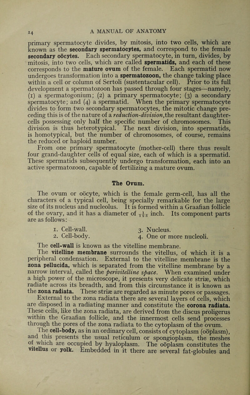 *4 primary spermatocyte divides, by mitosis, into two cells, which are known as the secondary spermatocytes, and correspond to the female secondary oocytes. Each secondary spermatocyte, in turn, divides, by mitosis, into two cells, which are called spermatids, and each of these corresponds to the mature ovum of the female. Each spermatid now undergoes transformation into a spermatozoon, the change taking place within a cell or column of Sertoli (sustentacular cell). Prior to its full development a spermatozoon has passed through four stages—namely, (i) a spermatogonium; (2) a primary spermatocyte; (3) a secondary spermatocyte; and (4) a spermatid. When the primary spermatocyte divides to form two secondary spermatocytes, the mitotic change pre¬ ceding this is of the nature of a reduction-division,the resultant daughter- cells possessing only half the specific number of chromosomes. This division is thus heterotypical. The next division, into spermatids, is homotypical, but the number of chromosomes, of course, remains the reduced or haploid number. From one primary spermatocyte (mother-cell) there thus result four grand-daughter cells of equal size, each of which is a spermatid. These spermatids subsequently undergo transformation, each into an active spermatozoon, capable of fertilizing a mature ovum. The Ovum. The ovum or oocyte, which is the female germ-cell, has all the characters of a typical cell, being specially remarkable for the large size of its nucleus and nucleolus. It is formed within a Graafian follicle of the ovary, and it has a diameter of inch. Its component parts are as follows: 1. Cell-wall. 3. Nucleus. 2. Cell-body. 4. One or more nucleoli. The cell-wall is known as the vitelline membrane. The vitelline membrane surrounds the vitellus, of which it is a peripheral condensation. External to the vitelline membrane is the zona pellucida, which is separated from the vitelline membrane by a narrow interval, called the perivitelline space. When examined under a high power of the microscope, it presents very delicate striae, which radiate across its breadth, and from this circumstance it is known as the zona radiata. These striae are regarded as minute pores or passages. External to the zona radiata there are several layers of cells, which are disposed in a radiating manner and constitute the corona radiata. These cells, like the zona radiata, are derived from the discus proligerus within the Graafian follicle, and the innermost cells send processes through the pores of the zona radiata to the cytoplasm of the ovum. The cell-body, as in an ordinary cell, consists of cytoplasm (ooplasm), and this presents the usual reticulum or spongioplasm, the meshes of which are occupied by hyaloplasm. The ooplasm constitutes the vitellus or yolk. Embedded in it there are several fat-globules and /