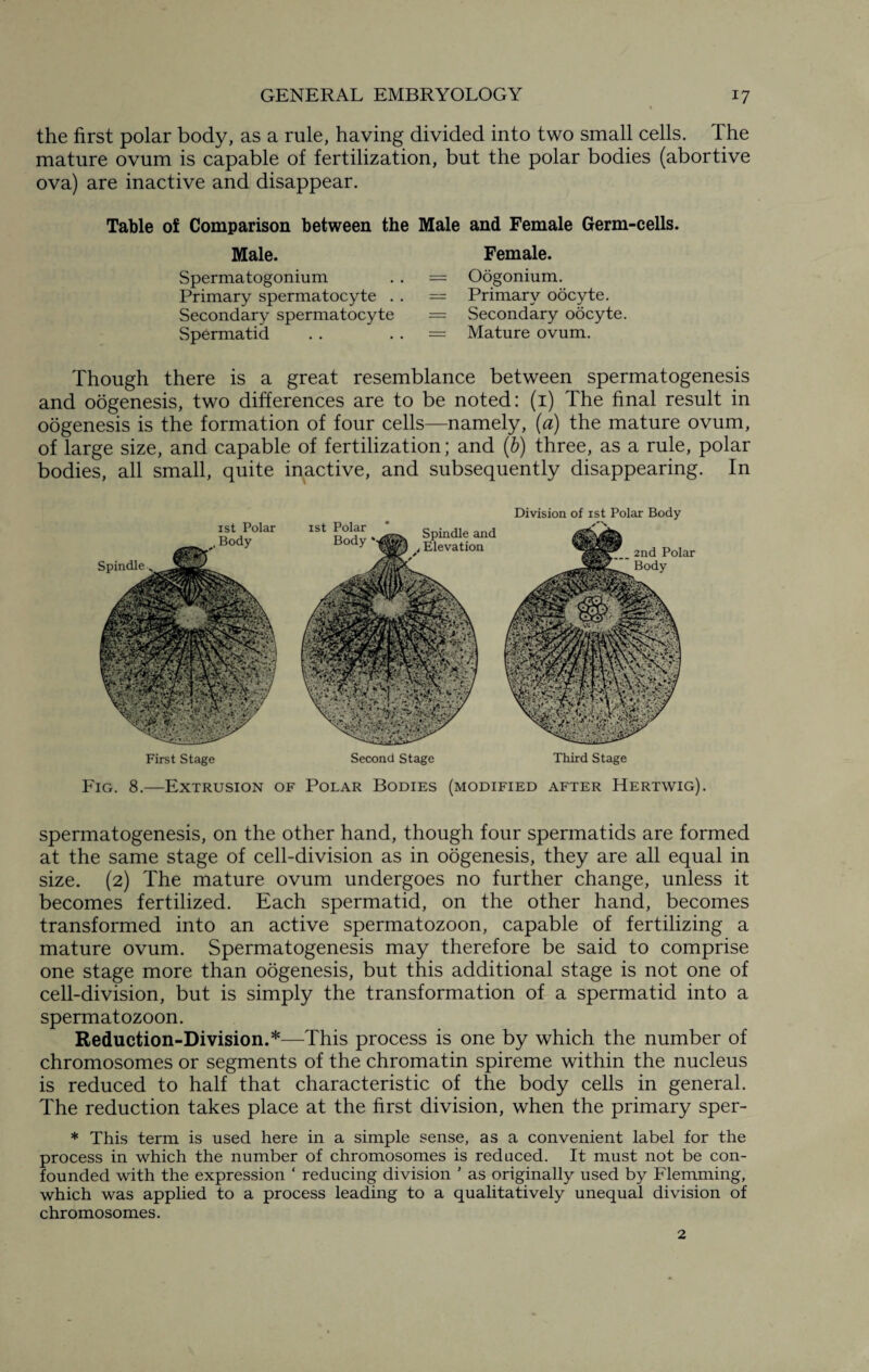 the first polar body, as a rule, having divided into two small cells. The mature ovum is capable of fertilization, but the polar bodies (abortive ova) are inactive and disappear. Table of Comparison between the Male and Female Germ-cells. Male. Female. Spermatogonium . . = Oogonium. Primary spermatocyte . . — Primary oocyte. Secondary spermatocyte = Secondary oocyte. Spermatid . . = Mature ovum. Though there is a great resemblance between spermatogenesis and oogenesis, two differences are to be noted: (1) The final result in oogenesis is the formation of four cells—namely, (a) the mature ovum, of large size, and capable of fertilization; and (b) three, as a rule, polar bodies, all small, quite inactive, and subsequently disappearing. In Division of 1st Polar Body- First Stage Second Stage Third Stage Fig. 8.—Extrusion of Polar Bodies (modified after Hertwig). spermatogenesis, on the other hand, though four spermatids are formed at the same stage of cell-division as in oogenesis, they are all equal in size. (2) The mature ovum undergoes no further change, unless it becomes fertilized. Each spermatid, on the other hand, becomes transformed into an active spermatozoon, capable of fertilizing a mature ovum. Spermatogenesis may therefore be said to comprise one stage more than oogenesis, but this additional stage is not one of cell-division, but is simply the transformation of a spermatid into a spermatozoon. Reduction-Division.*—This process is one by which the number of chromosomes or segments of the chromatin spireme within the nucleus is reduced to half that characteristic of the body cells in general. The reduction takes place at the first division, when the primary sper- * This term is used here in a simple sense, as a convenient label for the process in which the number of chromosomes is reduced. It must not be con¬ founded with the expression ‘ reducing division ' as originally used by Flemming, which was applied to a process leading to a qualitatively unequal division of chromosomes.