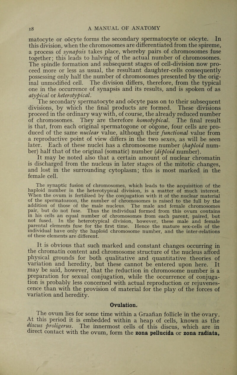 matocyte or oocyte forms the secondary spermatocyte or oocyte. In this division, when the chromosomes are differentiated from the spireme, a process of synapsis takes place, whereby pairs of chromosomes fuse together; thisleads to halving of the actual number of chromosomes. The spindle formation and subsequent stages of cell-division now pro¬ ceed more or less as usual, the resultant daughter-cells consequently possessing only half the number of chromosomes presented by the orig¬ inal unmodified cell. The division differs, therefore, from the typical one in the occurrence of synapsis and its results, and is spoken of as atypical or heterotypical. The secondary spermatocyte and oocyte pass on to their subsequent divisions, by which the final products are formed. These divisions proceed in the ordinary way with, of course, the already reduced number of chromosomes. They are therefore homotypical. The final result is that, from each original spermatogone or oogone, four cells are pro¬ duced of the same nuclear value, although their functional value from a reproductive point of view differs in the two sexes, as will be seen later. Each of these nuclei has a chromosome number [haploid num¬ ber) half that of the original (somatic) number (diploid number). It may be noted also that a certain amount of nuclear chromatin is discharged from the nucleus in later stages of the mitotic changes, and lost in the surrounding cytoplasm; this is most marked in the female cell. The synaptic fusion of chromosomes, which leads to the acquisition of the haploid number in the heterotypical division, is a matter of much interest. When the ovum is fertilized by the conjugation with it of the nuclear material of the spermatozoon, the number of chromosomes is raised to the full by the addition of those of the male nucleus. The male and female chromosomes pair, but do not fuse. Thus the individual formed from this ovum contains in his ceils an equal number of chromosomes from each parent, paired, but not fused. In the heterotypical division, however, these male and female parental elements fuse for the first time. Hence the mature sex-cells of the individual have only the haploid chromosome number, and the inter-relations of these elements are different. It is obvious that such marked and constant changes occurring in the chromatin content and chromosome structure of the nucleus afford physical grounds for both qualitative and quantitative theories of variation and heredity, but these cannot be entered upon here. It may be said, however, that the reduction in chromosome number is a preparation for sexual conjugation, while the occurrence of conjuga¬ tion is probably less concerned with actual reproduction or rejuvenes¬ cence than with the provision of material for the play of the forces of variation and heredity. Ovulation. The ovum lies for some time within a Graafian follicle in the ovary. At this period it is embedded within a heap of cells, known as the discus proligerus. The innermost cells of this discus, which are in direct contact with the ovum, form the zona pellucida or zona radiata,