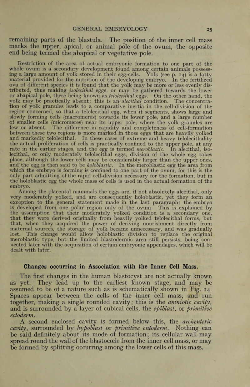 remaining parts of the blastula. The position of the inner cell mass marks the upper, apical, or animal pole of the ovum, the opposite end being termed the abapical or vegetative pole. Restriction of the area of actual embryonic formation to one part of the whole ovum is a secondary development found among certain animals possess¬ ing a large amount of yolk stored in their egg-cells. Yolk (see p. 14) is a fatty material provided for the nutrition of the developing embryo. In the fertilized ova of different species it is found that the yolk may be more or less evenly dis¬ tributed, thus making isolecithal eggs, or may be gathered towards the lower or abapical pole, these being known as telolecithal eggs. On the other hand, the yolk may be practically absent; this is an alecithal condition. The concentra¬ tion of yolk granules leads to a comparative inertia in the cell-division of the region concerned, so that a telolecithal egg, when it segments, shows large and slowly forming cells (macromeres) towards its lower pole, and a large number of smaller cells (micromeres) near its upper pole, where the yolk granules are few or absent. The difference in rapidity and completeness of cell-formation between these two regions is more marked in those eggs that are heavily yolked and markedly telolecithal. In these cases of extreme and heavy telolecithality the actual proliferation of cells is practically confined to the upper pole, at any rate in the earlier stages, and the egg is termed meroblastic. In alecithal, iso¬ lecithal, or only moderately telolecithal eggs, division of the whole egg takes place, although the lower cells may be considerably larger than the upper ones, and the egg is then said to be holoblastic. In the meroblastic egg the area from which the embryo is forming is confined to one part of the ovum, for this is the only part admitting of the rapid cell-division necessary for the formation, but in the holoblastic egg the whole mass of cells is used in the actual formation of the embryo. Among the placental mammals the eggs are, if not absolutely alecithal, only very moderately yolked, and are consequently holoblastic, yet they form an exception to the general statement made in the last paragraph: the embryo is developed from one polar region only of the ovum. This is explained by the assumption that their moderately yolked condition is a secondary one, that they were derived originally from heavily yolked telolecithal forms, but that, when they acquired the power of deriving nourishment directly from maternal sources, the storage of yolk became unnecessary, and was gradually lost. This change would allow holoblastic division to replace the original meroblastic type, but the limited blastodermic area still persists, being con¬ nected later with the acquisition of certain embryonic appendages, which will be dealt with later. Changes occurring in Association with the Inner Cell Mass. The first changes in the human blastocyst are not actually known as yet. They lead up to the earliest known stage, and may be assumed to be of a nature such as is schematically shown in Fig. 14. Spaces appear between the cells of the inner cell mass, and run together, making a single rounded cavity; this is the amniotic cavity, and is surrounded by a layer of cubical cells, the epiblast, or primitive ectoderm. A second enclosed cavity is formed below this, the archenteric cavity, surrounded by hypoblast or primitive entoderm. Nothing can be said definitely about its mode of formation; its cellular wall may spread round the wall of the blastoccele from the inner cell mass, or may be formed by splitting occurring among the lower cells of this mass.