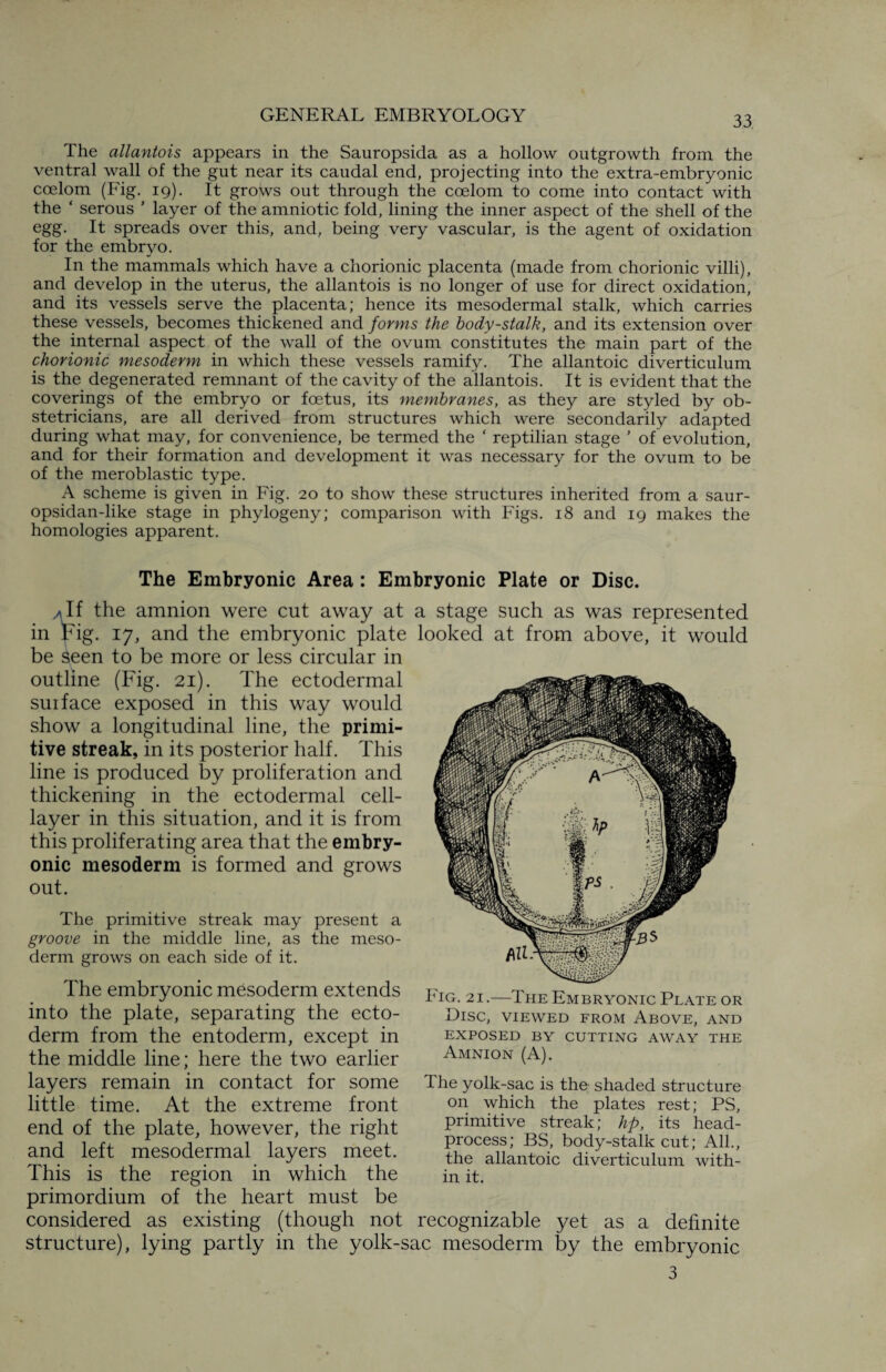 The allantois appears in the Sauropsida as a hollow outgrowth from the ventral wall of the gut near its caudal end, projecting into the extra-embryonic coelom (Fig. 19). It grows out through the coelom to come into contact with the ‘ serous ' layer of the amniotic fold, lining the inner aspect of the shell of the egg. It spreads over this, and, being very vascular, is the agent of oxidation for the embryo. In the mammals which have a chorionic placenta (made from chorionic villi), and develop in the uterus, the allantois is no longer of use for direct oxidation, and its vessels serve the placenta; hence its mesodermal stalk, which carries these vessels, becomes thickened and forms the body-stalk, and its extension over the internal aspect of the wall of the ovum constitutes the main part of the chorionic mesoderm in which these vessels ramify. The allantoic diverticulum is the degenerated remnant of the cavity of the allantois. It is evident that the coverings of the embryo or foetus, its membranes, as they are styled by ob¬ stetricians, are all derived from structures which were secondarily adapted during what may, for convenience, be termed the ‘ reptilian stage ' of evolution, and for their formation and development it was necessary for the ovum to be of the meroblastic type. A scheme is given in Fig. 20 to show these structures inherited from a saur- opsidan-like stage in phylogeny; comparison with Figs. 18 and ig makes the homologies apparent. The Embryonic Area: Embryonic Plate or Disc. /If the amnion were cut away at in Fig. 17, and the embryonic plate be seen to be more or less circular in outline (Fig. 21). The ectodermal surface exposed in this way would show a longitudinal line, the primi¬ tive streak, in its posterior half. This line is produced by proliferation and thickening in the ectodermal cell- layer in this situation, and it is from this proliferating area that the embry¬ onic mesoderm is formed and grows out. The primitive streak may present a groove in the middle line, as the meso¬ derm grows on each side of it. The embryonic mesoderm extends into the plate, separating the ecto¬ derm from the entoderm, except in the middle line; here the two earlier layers remain in contact for some little time. At the extreme front end of the plate, however, the right and left mesodermal layers meet. This is the region in which the primordium of the heart must be considered as existing (though not structure), lying partly in the yolk-s a stage such as was represented looked at from above, it would Fig. 21.—The Embryonic Plate or Disc, viewed from Above, and EXPOSED BY CUTTING AWAY THE Amnion (A). The yolk-sac is the shaded structure on which the plates rest; PS, primitive streak; hp, its head- process; BS, body-stalk cut; All., the allantoic diverticulum with¬ in it. recognizable yet as a definite ic mesoderm by the embryonic 3