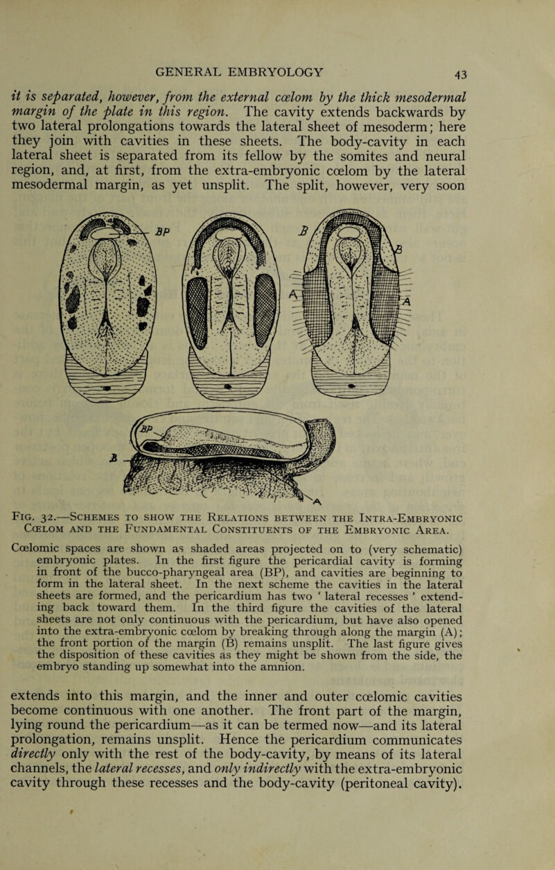 it is separated, however, from the external coelom by the thick mesodermal margin of the plate in this region. The cavity extends backwards by two lateral prolongations towards the lateral sheet of mesoderm; here they join with cavities in these sheets. The body-cavity in each lateral sheet is separated from its fellow by the somites and neural region, and, at first, from the extra-embryonic coelom by the lateral mesodermal margin, as yet unsplit. The split, however, very soon Fig. 32.—Schemes to show the Relations between the Intra-Embryonic Coelom and the Fundamental Constituents of the Embryonic Area. Coelomic spaces are shown as shaded areas projected on to (very schematic) embryonic plates. In the first figure the pericardial cavity is forming in front of the bucco-pharyngeal area (BP), and cavities are beginning to form in the lateral sheet. In the next scheme the cavities in the lateral sheets are formed, and the pericardium has two * lateral recesses ' extend¬ ing back toward them. In the third figure the cavities of the lateral sheets are not only continuous with the pericardium, but have also opened into the extra-embryonic coelom by breaking through along the margin (A); the front portion of the margin (B) remains unsplit. The last figure gives the disposition of these cavities as they might be shown from the side, the embryo standing up somewhat into the amnion. extends into this margin, and the inner and outer coelomic cavities become continuous with one another. The front part of the margin, lying round the pericardium—as it can be termed now—and its lateral prolongation, remains unsplit. Hence the pericardium communicates directly only with the rest of the body-cavity, by means of its lateral channels, the lateral recesses, and only indirectly with the extra-embryonic cavity through these recesses and the body-cavity (peritoneal cavity).