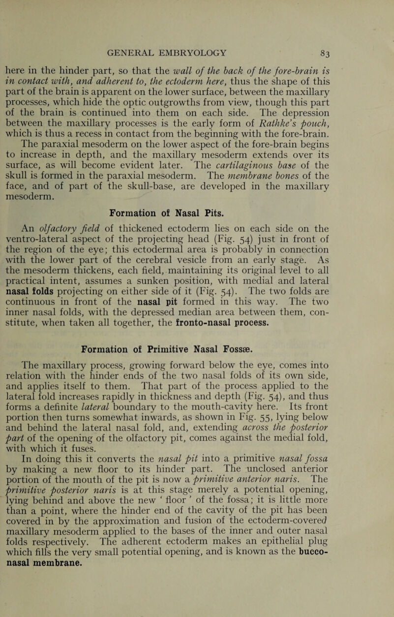 here in the hinder part, so that the wall of the back of the fore-brain is in contact with, and adherent to, the ectoderm here, thus the shape of this part of the brain is apparent on the lower surface, between the maxillary processes, which hide the optic outgrowths from view, though this part of the brain is continued into them on each side. The depression between the maxillary processes is the early form of Rathke’s pouch, which is thus a recess in contact from the beginning with the fore-brain. The paraxial mesoderm on the lower aspect of the fore-brain begins to increase in depth, and the maxillary mesoderm extends over its surface, as will become evident later. The cartilaginous base of the skull is formed in the paraxial mesoderm. The membrane bones of the face, and of part of the skull-base, are developed in the maxillary mesoderm. Formation of Nasal Pits. An olfactory field of thickened ectoderm lies on each side on the ventro-lateral aspect of the projecting head (Fig. 54) just in front of the region of the eye; this ectodermal area is probably in connection with the lower part of the cerebral vesicle from an early stage. As the mesoderm thickens, each field, maintaining its original level to all practical intent, assumes a sunken position, with medial and lateral nasal folds projecting on either side of it (Fig. 54). The two folds are continuous in front of the nasal pit formed in this way. The two inner nasal folds, with the depressed median area between them, con¬ stitute, when taken all together, the fronto-nasal process. Formation of Primitive Nasal Fossae. The maxillary process, growing forward below the eye, comes into relation with the hinder ends of the two nasal folds of its own side, and applies itself to them. That part of the process applied to the lateral fold increases rapidly in thickness and depth (Fig. 54), and thus forms a definite lateral boundary to the mouth-cavity here. Its front portion then turns somewhat inwards, as shown in Fig. 55, lying below and behind the lateral nasal fold, and, extending across the posterior part of the opening of the olfactory pit, comes against the medial fold, with which it fuses. In doing this it converts the nasal pit into a primitive nasal fossa by making a new floor to its hinder part. The unclosed anterior portion of the mouth of the pit is now a primitive anterior naris. The primitive posterior naris is at this stage merely a potential opening, lying behind and above the new ‘ floor ’ of the fossa; it is little more than a point, where the hinder end of the cavity of the pit has been covered in by the approximation and fusion of the ectoderm-covered maxillary mesoderm applied to the bases of the inner and outer nasal folds respectively. The adherent ectoderm makes an epithelial plug which fills the very small potential opening, and is known as the bucco- nasal membrane.