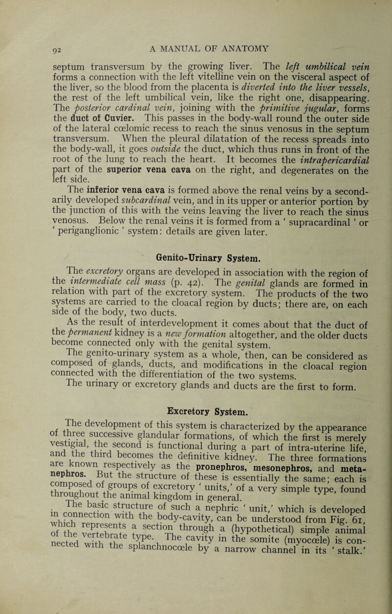 septum transversum by the growing liver. The left umbilical vein forms a connection with the left vitelline vein on the visceral aspect of the liver, so the blood from the placenta is diverted into the liver vessels, the rest of the left umbilical vein, like the right one, disappearing. The posterior cardinal vein, joining with the primitive jugular, forms the duct of Cuvier. This passes in the body-wall round the outer side of the lateral coelomic recess to reach the sinus venosus in the septum transversum. When the pleural dilatation of the recess spreads into the body-wall, it goes outside the duct, which thus runs in front of the root of the lung to reach the heart. It becomes the intrapericardial part of the superior vena cava on the right, and degenerates on the left side. The inferior vena cava is formed above the renal veins by a second¬ arily developed subcardinal vein, and in its upper or anterior portion by the junction of this with the veins leaving the liver to reach the sinus venosus. Below the renal veins it is formed from a ‘ supracardinal ’ or ' periganglionic ’ system: details are given later. Genito-Urinary System. The excretory organs are developed in association with the region of the intermediate cell mass (p. 42). The genital glands are formed in relation with part of the excretory system. The products of the two systems are carried to the cloacal region by ducts; there are, on each side of the body, two ducts. As the result of interdevelopment it comes about that the duct of the permanent kidney is a new formation altogether, and the older ducts become connected only with the genital system. The genito-urinary system as a whole, then, can be considered as composed of glands, ducts, and modifications in the cloacal region connected with the differentiation of the two systems. The urinary or excretory glands and ducts are the first to form. Excretory System. The development of this system is characterized by the appearance ot three successive glandular formations, of which the first is merely vestigiai the second is functional during a part of intra-uterine life, and the third becomes the definitive kidney. The three formations are known respectively as the pronephros, mesonephros, and meta- nephros. But the structure of these is essentially the same; each is +w>P°i?d ?\F°UpS °! fxcretory/ units/ of a very simple type, found throughout the animal kingdom in general. in rnnnprtfnic u ?Uch a nePhric ' unit/ which is developed whtw 1 Tth the body-cavity, can be understood from Fig. 61, of thp Pfrv ^ section through a (hypothetical) simple animal nected with/h/ /P6'n fhe nCaUy in the somite (my°coile) is con- the splanchnocoele by a narrow channel in its ‘ stalk.’