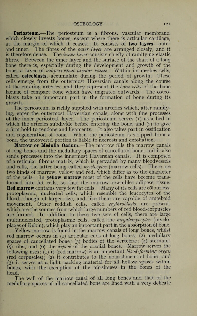 Periosteum.—The periosteum is a fibrous, vascular membrane, which closely invests bones, except where there is articular cartilage, at the margin of which it ceases. It consists of two layers—outer and inner. The fibres of the outer layer are arranged closely, and it is therefore dense. The inner layer consists chiefly of ramifying elastic fibres. Between the inner layer and the surface of the shaft of a long bone there is, especially during the development and growth of the bone, a layer of subperiosteal areolar tissue. Within its meshes cells, called osteoblasts, accumulate during the period of growth. These cells emerge from the outermost Haversian canals along the course of the entering arteries, and they represent the bone cells of the bone lacunae of compact bone which have migrated outwards. The osteo¬ blasts take an important part in the formation of bone during its growth. The periosteum is richly supplied with arteries which, after ramify¬ ing, enter the outermost Haversian canals, along with fine processes of the inner periosteal layer. The periosteum serves (i) as a bed in which the arteries subdivide before entering the bone, and (2) to give a firm hold to tendons and ligaments. It also takes part in ossification and regeneration of bone. When the periosteum is stripped from a bone, the uncovered portion is liable to necrosis and exfoliation. Marrow or Medulla Ossium.—The marrow fills the marrow canals of long bones and the medullary spaces of cancellated bone, and it also sends processes into the innermost Haversian canals. It is composed of a reticular fibrous matrix, which is pervaded by many bloodvessels and cells, the latter being called myelocytes (marrow cells). There are two kinds of marrow, yellow and red, which differ as to the character of the cells. In yellow marrow most of the cells have become trans¬ formed into fat cells, so that the marrow resembles adipose tissue. Red marrow contains very few fat cells. Many of its cells are colourless, protoplasmic, nucleated cells, which resemble the leucocytes of the blood, though of larger size, and like them are capable of amoeboid movement. Other reddish cells, called erythroblasts, are present, which are the sources from which large numbers of red blood-corpuscles are formed. In addition to these two sets of cells, there are large multinucleated, protoplasmic cells, called the megakaryocytes (myelo- plaxes of Robin), which play an important part in the absorption of bone. Yellow marrow is found in the marrow canals of long bones, whilst red marrow occurs in (1) articular ends of long bones; (2) medullary spaces of cancellated bone; (3) bodies of the vertebrae; (4) sternum; (5) ribs; and (6) the diploe of the cranial bones. Marrow serves the following uses: (1) it (red marrow) is an important blood-forming organ (red corpuscles); (2) it contributes to the nourishment of bone; and (3) it serves as a light packing material for all hollow spaces within bones, with the exception of the air-sinuses in the bones of the head. The wall of the marrow canal of all long bones and that of the medullary spaces of all cancellated bone are lined with a very delicate