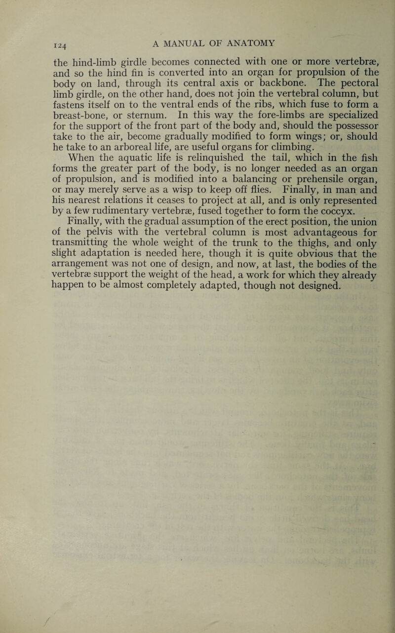 the hind-limb girdle becomes connected with one or more vertebrae, and so the hind fin is converted into an organ for propulsion of the body on land, through its central axis or backbone. The pectoral limb girdle, on the other hand, does not join the vertebral column, but fastens itself on to the ventral ends of the ribs, which fuse to form a breast-bone, or sternum. In this way the fore-limbs are specialized for the support of the front part of the body and, should the possessor take to the air, become gradually modified to form wings; or, should he take to an arboreal life, are useful organs for climbing. When the aquatic life is relinquished the tail, which in the fish forms the greater part of the body, is no longer needed as an organ of propulsion, and is modified into a balancing or prehensile organ, or may merely serve as a wisp to keep off flies. Finally, in man and his nearest relations it ceases to project at all, and is only represented by a few rudimentary vertebrae, fused together to form the coccyx. Finally, with the gradual assumption of the erect position, the union of the pelvis with the vertebral column is most advantageous for transmitting the whole weight of the trunk to the thighs, and only slight adaptation is needed here, though it is quite obvious that the arrangement was not one of design, and now, at last, the bodies of the vertebrae support the weight of the head, a work for which they already happen to be almost completely adapted, though not designed.