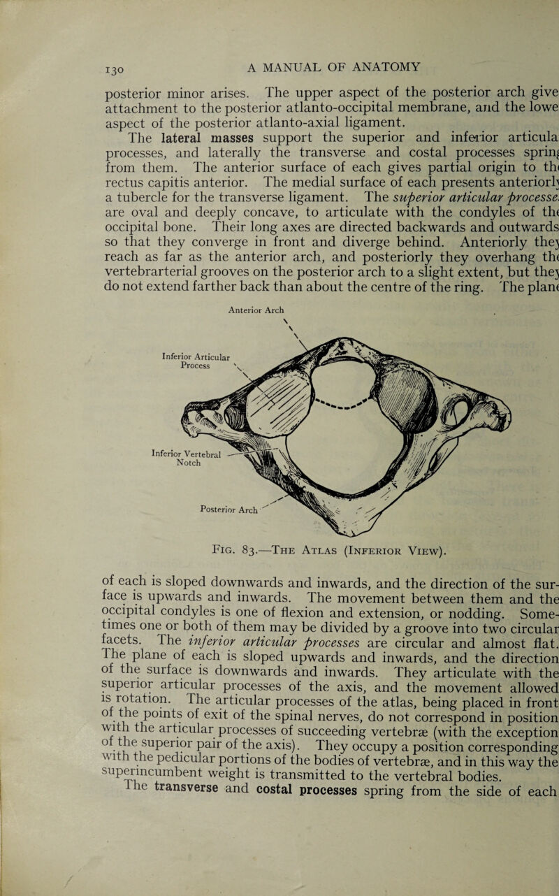 posterior minor arises. The upper aspect of the posterior arch give attachment to the posterior atlanto-occipital membrane, and the lowe aspect of the posterior atlanto-axial ligament. The lateral masses support the superior and inferior articula processes, and laterally the transverse and costal processes spring from them. The anterior surface of each gives partial origin to th< rectus capitis anterior. The medial surface of each presents anteriorl} a tubercle for the transverse ligament. The superior articular processe. are oval and deeply concave, to articulate with the condyles of the occipital bone. Their long axes are directed backwards and outwards so that they converge in front and diverge behind. Anteriorly the} reach as far as the anterior arch, and posteriorly they overhang th( vertebrarterial grooves on the posterior arch to a slight extent, but the} do not extend farther back than about the centre of the ring. The plane Anterior Arch of each is sloped downwards and inwards, and the direction of the sur¬ face is upwards and inwards. The movement between them and the occipital condyles is one of flexion and extension, or nodding. Some¬ times one or both of them may be divided by a groove into two circular facets. The inferior articular processes are circular and almost flat, the plane of each is sloped upwards and inwards, and the direction of the surface is downwards and inwards. They articulate with the superior articular processes of the axis, and the movement allowed is rotation. The articular processes of the atlas, being placed in front of the points of exit of the spinal nerves, do not correspond in position wuh the articular processes of succeeding vertebrae (with the exception °±!ke1SUperi0r pa^r ax*s)- They occupy a position corresponding wi h the pedicular portions of the bodies of vertebrae, and in this way the superincumbent weight is transmitted to the vertebral bodies. ie fran§verse and costal processes spring from the side of each