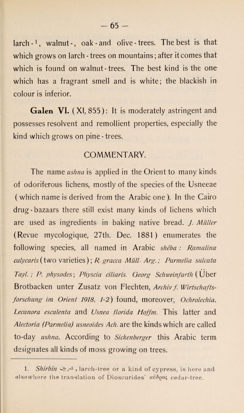 larch-1, walnut-, oak-and olive-trees. The best is that which grows on larch - trees on mountains; after it comes that which is found on walnut-trees. The best kind is the one which has a fragrant smell and is white; the blackish in; colour is inferior. Galen VI. (XI, 855): It is moderately astringent and possesses resolvent and remollient properties, especially the kind which grows on pine-trees. COMMENTARY. The name ushna is applied in the Orient to many kinds of odoriferous lichens, mostly of the species of the Usneeae ( which name is derived from the Arabic one ). In the Cairo drug-bazaars there still exist many kinds of lichens which are used as ingredients in baking native bread. J. Muller (Revue mycologique, 27th. Dec. 1881) enumerates the following species, all named in Arabic sheba: Rcimalina calycaris (two varieties); R. gracca Mull■ Arg.; Parmelia sulcata • • Tayl.; P. phy socles; Physcia ell laris. Georg Scliweinfurth ( Uber Brotbacken unter Zusatz von Flechten, Archiv f. Wirtschafts- forschung itn Orient 1918, 1-2) found, moreover, Ochrolechia, Lecanora esculenta and Usnea florida Hoffm. This latter and Alectorla (Parmelia) usneoides Ach. are the kinds which are called to-day ushna. According to Sickenberger this Arabic term, designates all kinds of moss growing on trees. 1. Shirbin , larch-tree or a kind of cypress, is here and elsewhere the translation of Dioscurides’ y.sSgo^ cedar-tree.