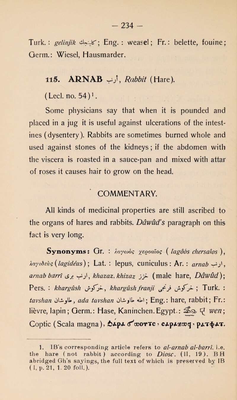 Turk.: gelinjik ; Eng.: weasel; Fr.: belette, fouine; Germ.: Wiesel, Hausmarder. n5. ARNAB wijt, Rabbit (Hare). (Lecl. no. 54)1. Some physicians say that when it is pounded and placed in a jug it is useful against ulcerations of the intest¬ ines (dysentery). Rabbits are sometimes burned whole and used against stones of the kidneys; if the abdomen with the viscera is roasted in a sauce-pan and mixed with attar of roses it causes hair to grow on the head. COMMENTARY. All kinds of medicinal properties are still ascribed to the organs of hares and rabbits. Ddwfid’s paragraph on this fact is very long. Synonyms: Gr. : Aaycobg xegomog ( lagoos chersaios ), \ayidev${lagideus)\ Lat. : lepus, cuniculus: Ar. : arnab^J, arnab bctrri s j\ khazaz, khizaz (male hare, Daw fid); Pers. : khargiish , khargush franji jr} j>~ ; Turk. : tavshan jU-jU*, ada tavshan jLs-jlU *Ui; Eng.: hare, rabbit; Fr.: lievre, lapin; Germ.: Hase, Kaninchen.Egypt.: ^ wen; Coptic (Scala magna), i^p* <?cjuottc? cApA^cwcp pa.t$at. 1. IB’s corresponding article refers to al-arnab al-barrl. i.e. the hare (not rabbit) according to Diosc. (II, 19). BH abridged Gh’s sayings, the full text of which is preserved by IB ( I, p. 21, 1. 20 foil.).