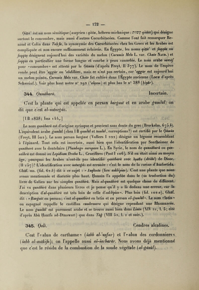 Qitla est un nom sémitique (assyrien : qièsu, hébreu-michnique : mcp qissüt) qui désigne surtout le concombre, mais aussi d'autres Cucurbitacées. Comme l’ont fait remarquer Re¬ naud et Colin dans Tuhfa, la synonymie des Cucurbitacées chez les Grecs et les Arabes est compliquée et non encore suffisamment éclaircie. En Egypte, les noms qittâ’ et faqqùs ou faqqùs désignent aujourd'hui des variétés du melon (Ciicumis Melo L. var. Chaie Naud.) et faqqùs en particulier une forme longue et courbe à peau cannelée. Le nom arabe sawàf pour trconcombrev est attesté par le Qâmüs (d’après Freyt. II %']'])• Le nom de l’espèce ronde peut être 'aggûr ou *abdiüâwi, mais ce n'est pas certain, car 'aggûr est aujourd'hui un melon pointu. Cncumis Melo var. Chate fut cultivé dans 1 Egypte ancienne (Loew d apres Schweinf.). Voir plus haut notre n° 992 (*alqam) et plus bas le n° 388 (hiyâr). 344. Qunâbarà. Incertain. C’est la plante qui est appelée en persan bargast et en arabe gumlül; on dit que c'est, al-usturgâz. [IB 1838; Issa 1/4/u.] Le nom qunâbarà est d origine syriaque et provient sans doute du grec (Brockelm. Gÿ5 b). L’équivalent arabe gumlül (chez I B qumlül et tumlûl, corruptions?) est certifié par le Qâmüs (Freyt. III 5o2). Le nom persan bargast (Vullers I 222) désigne un légume ressemblant à l’épinard. Tout cela est incertain, aussi bien que 1 identification par Sontheimer de qunâbarà avec la dentelaire (Plumbago europaea L.). En Syrie, le nom de qunnâbarâ ou qun- naïbrâ est donné au Lepidium Draba L., Crucitères (Post I 106). S il en était ainsi au moyen âge, pourquoi les Arabes n’ont-ils pas identifié qunâbarà avec SpâS»/ (drâbê) de Di ose. (II 1 5/)? L'identification avec uslurgàz est erronée : c’est le nom de la racine d’Asaloetida. Ghàf. ms. (fol. 62 b) dit à ce sujet : rAsqllnâs (lire ashlêpias). C'est une plante que nous avons mentionnée et discutée plus haut. Hunaïn l’a appelée dans le (sa traduction du) livre de Galien sur les simples qunàbirâ. Mais al-qunàbirâ est quelque chose de différent. J’ai vu qunàbirâ dans plusieurs livres et je pense qu'il y a là dedans une erreur, car la description d’al-qunàbirâ est très loin de celle d’ashlêpias». Plus loin (fol. 102 «), Ghàf. dit : tr Bargast en persan; c'est al-qunàbirâ en latin et en persan al-gumlüfa. Le nom tr latin » ou espagnol rappelle le castillan cambronera qui désigne cependant une Rhamnacée. Le nom gumlül est purement arabe et se trouve aussi bien dans Lisân (XIV 21, 1. 5; cité d’après Abu Hanïfa ad-Dlnawarî) que dans Tâg (VIII 5», 1. 1 et suiv.). 345. Qall. Cendres alcalines. C’est IValun de carthamer> (sabb al-usfur) et IValun des cordonniers» (sabb al-asâkifa); on l’appelle aussi as-sarbarâr. Nous avons déjà mentionné que c’est le résidu de la combustion de la soude végétale (al-gâsül).