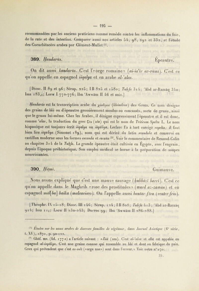 recommandées par les anciens praticiens comme remède contre les inflammations du foie, de la rate et des intestins. Comparer aussi nos articles 54, 98, 29a et 33a, et l’étude des Cucurbitacées arabes par Clément-Mullet 9). 389. Handarûs. Épeautre. On dit aussi handarûs. C’est 1er orge romaine» (as-sa'ir ar-rûnû). C’est ce qu’on appelle en espagnol isqalya et en arabe al-'alas. [Diosc. II 89 et 96; Sérap. aa5; IB 8a5 et t58o; Tuhfa 3i4; eAbd ar-Razzâq 34o; Issa 183,8; Loew I 772-776; Ibn 'Awwâm II 46 et suiv.J Handarûs est la transcription arabe du *éi>Spo> (khôndros) des Grecs. Ce nom désigne des grains de blé ou d''épeautre grossièrement moulus ou concassés, sorte de gruau, ainsi que le gruau lui-même. Chez les Arabes, il désigne expressément l’épeautre et il est donc, comme 'nias, la traduction du grec Çéa (zéa) qui est le nom de Triticum Spella L. Le nom hispanique est toujours écrit isqalya ou isqàliya. Leclerc La à tort corrigé espclla; il faut bien lire isqaliya (Simonet 189), nom qui est dérivé du latin scandula et conservé en castillan moderne sous les lormes escanda et escana (21. Voir le commentaire de Renaud-Colin au chapitre 31 4 delà luhfa. La grande épeautre était cultivée en Égypte, avec Lengrain, depuis 1 époque préhistorique. Son emploi médical se borne à la préparation de soupes nourrissantes. 390. Hitmi. Guimauve. Nous avons explique que c’est une mauve sauvage (huhbdzl barri). C’est ce quon appelle dans le Maglirib errose des prostituées» (vvard az-zawân) et en espagnol mâl[ba] baska (rnalvamco). On l’appelle aussi bantar [ira (renierfrio). [Théophr. I\ 10-18; Diosc. III 14 G ; Sérap. ia4; IB 808; Tuhfa 4 1 3 ; 'Abd ar-Razzâq 91 4; Issa ii(j; Loew II a3o-a43; Ducros 99; Ibn 'Awwâm II 286-288.] {l) Eludes sur les tionis arabes de diverses familles de végétaux, dans Journal Asiatique (6e série, t. XV), 1 870 , p. 90-1 22. (2) Ghaf. ms. (fol. 177 a) a l’article suivant : «Zââ (zea). C’est al-calas et elle est appelée en espagnol al-isqàliya. C’est une graine connue qui ressemble au blé et dont on fabrique du pain. Ceux qui prétendent que c’est as-sull (rrorge nue*) sont dans l’erreur.n Voir notre n°270. 35.