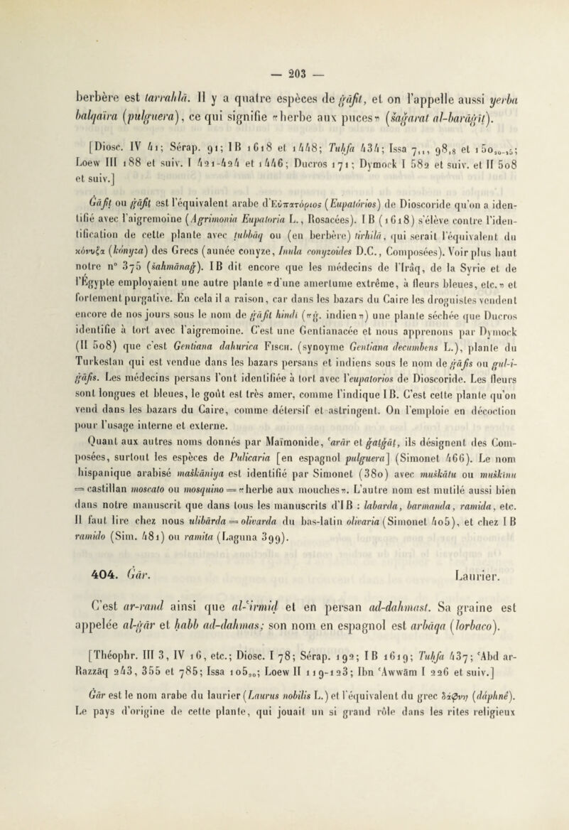 berbère est tarmhlà. Il y a quatre espèces de gâfil, et on l’appelle aussi yerba balqaïra (pulguera), ce qui signifie «herbe aux puces « (sagarat al-barâgit). [Diosc. IV h 1 ; Sérap. 91; IB 1G18 et i4A8; Tuhfa 43/*; Issa 7,,, 98,3 et i5oao_j5; Loew III 188 et suiv. I 491 -424 et 1 446 ; Ducros 171; Dymork I 582 et suiv. et II 5o8 et suiv.] (-ràjtt ou gâft est 1 équivalent arabe d EinrxTÔptos (Eupatânos) de Dioscoride qu'on a iden¬ tifié avec faigremoine (Agrimonia Eupaloria L., Rosacées). IB (1618) s'élève contre l’iden¬ tification de cette plante avec tubbâq ou (en berbère) tirhilâ, qui serait l'équivalent du hôvvçol (kdnyza) des Grecs (aunée conyze, Initia conyzoides D.C., Composées). Voir plus liant notre n° 375 (sahmânag). IB dit encore que les médecins de l'Iraq, de la Syrie et de l’Egypte employaient une autre plante wd une amertume extrême, à Heurs bleues, etc. v et fortement purgative. En cela il a raison, car dans les bazars du Caire les droguistes vendent encore de nos jours sous le nom de gâft hindi (trg. indien n) une plante séchée que Ducros identifie a tort avec laigremoinc. C’est une Gcntianacéc et nous apprenons par Dymock (Il 5o8) que c'est Gentiana dahurica Fiscu. (synoyme Gentiana decumbens L.), plante du Turkeslan qui est vendue dans les bazars persans et indiens sous le nom de gàfis ou gul-i- gàfs. Les médecins persans font identifiée à tort avec Ycupatorios de Dioscoride. Les fleurs sont longues et bleues, le goût est très amer, comme l’indique IB. C’est cette plante qu’on vend dans les bazars du Caire, comme détersif et astringent. On l'emploie en décoction pour l’usage interne et externe. Quant aux autres noms donnés par Maimonide, 'arâr et gatgât, ils désignent des Com¬ posées, surtout les espèces de PuUcaria [en espagnol pulguera] (Simonet A66). Le nom hispanique arabisé maskàniya est identifié par Simonet (38o) avec tnuskâlu ou muskinu = castillan moscalo ou mosquino = « herbe aux mouches v. L’autre nom est mutilé aussi bien dans notre manuscrit que dans tous les manuscrits d’I B : labarda, barmanda, ramida, etc. Il faut lire chez nous ulibârda — olivarda du bas-latin olivaria (Simonet Ao5), et chez IB ramido (Sim. A81 ) ou ramita (Laguna 399). 404. Gâr. Laurier. C’est ar-rand ainsi que al-irmid et en persan ad-dahmast. Sa graine est appelée al-gàr et habb ad-dahmas; son nom en espagnol est arbâqa (lorbaco). [Théophr. III 3, IV îG, etc.; Diosc. I 78; Sérap. 192; IB 1G19; Tuhfa hoq; 'Abd ar- Razzâq 2Û3, 355 et 785; Issa 1 o5ao; Loew II 11 9-123; Ibn ‘Awwârn I 226 et suiv.] Gâr est le nom arabe du laurier [Laurus nobilis L.) et l'équivalent du grec (dâphnê). Le pays d’origine de cette plante, qui jouait un si grand rôle dans les rites religieux