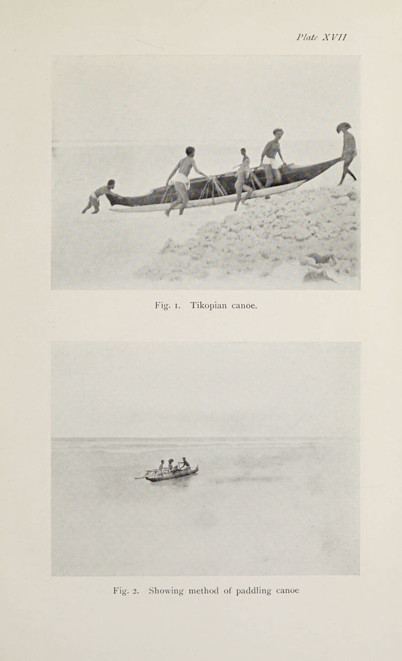 Showing method of paddling canoe