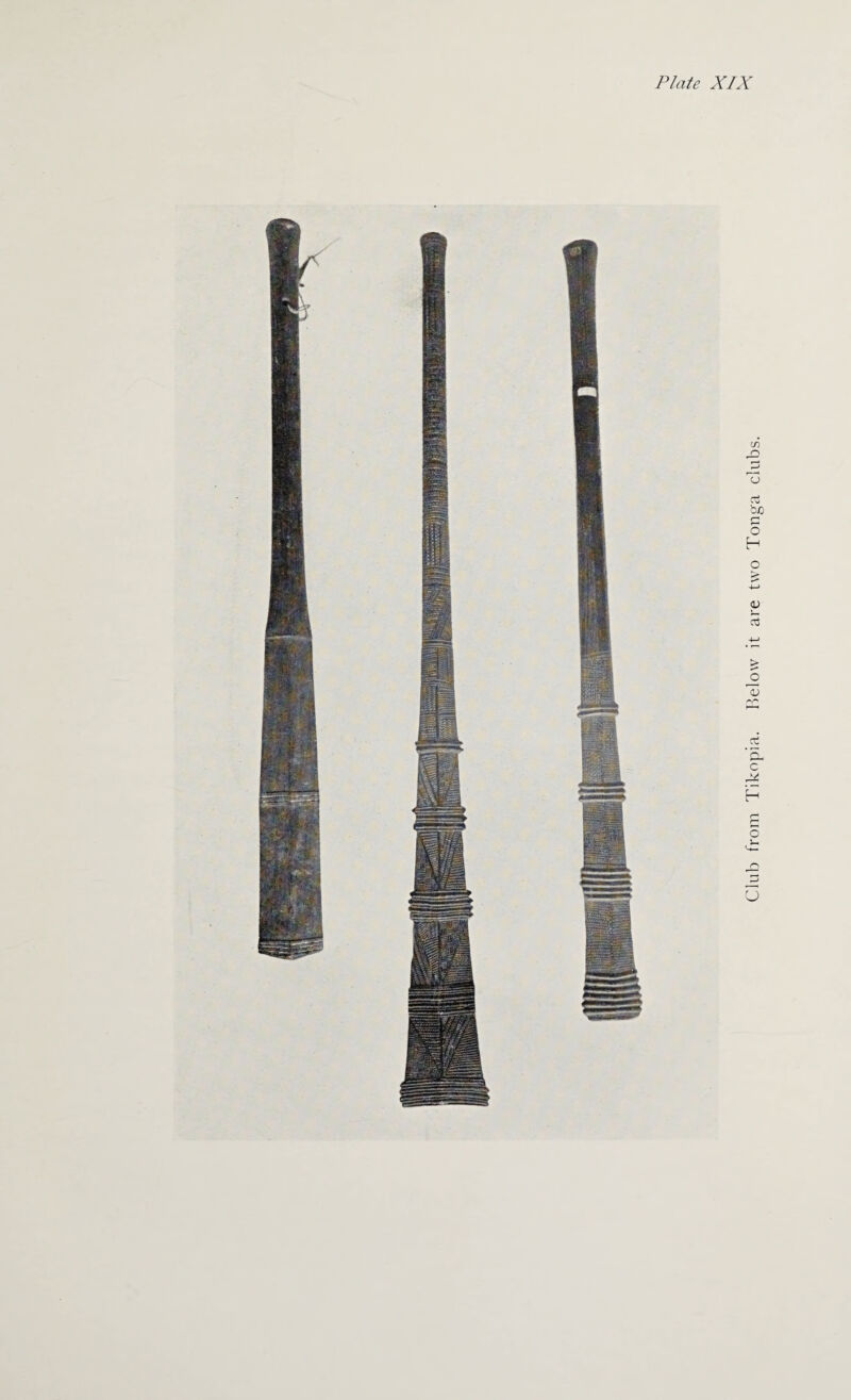 Club from Tikopia. Below it are two Tonga clubs.