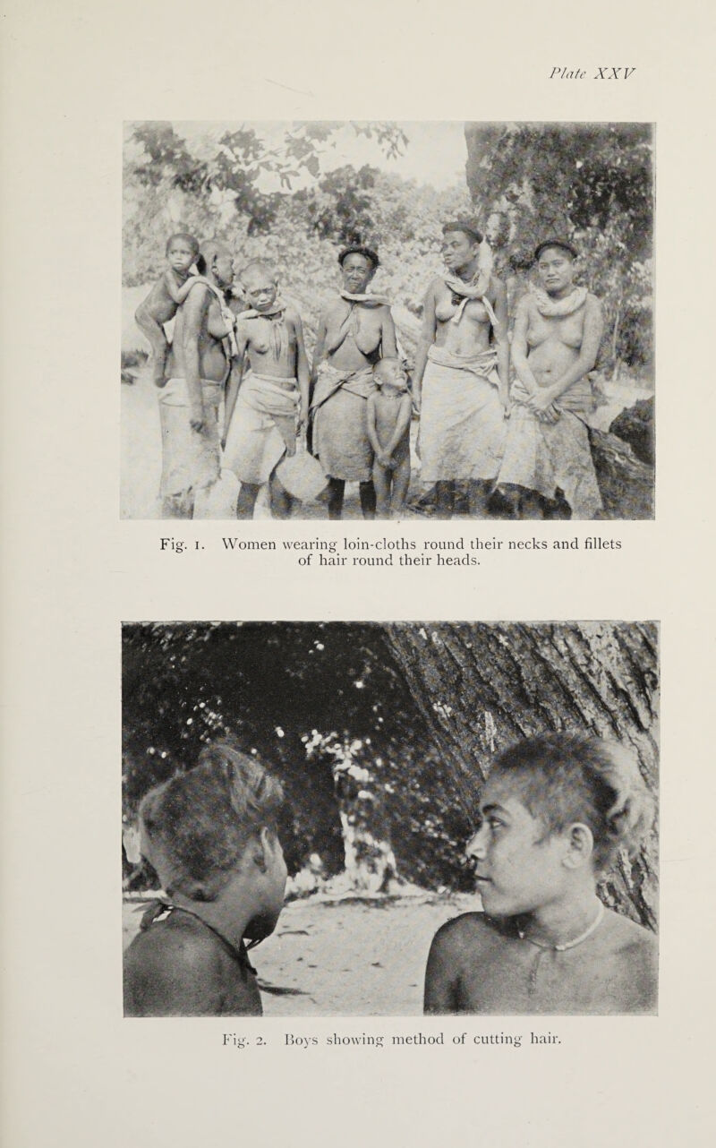 Fig. i. Women wearing loin-cloths round their necks and fillets of hair round their heads.