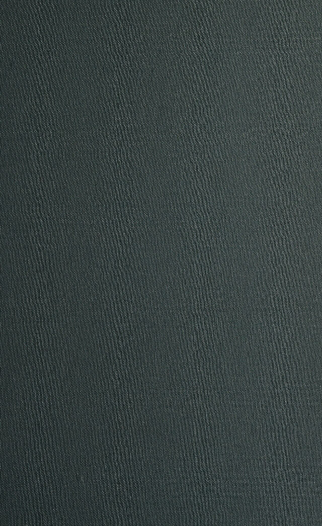 digitised image 1