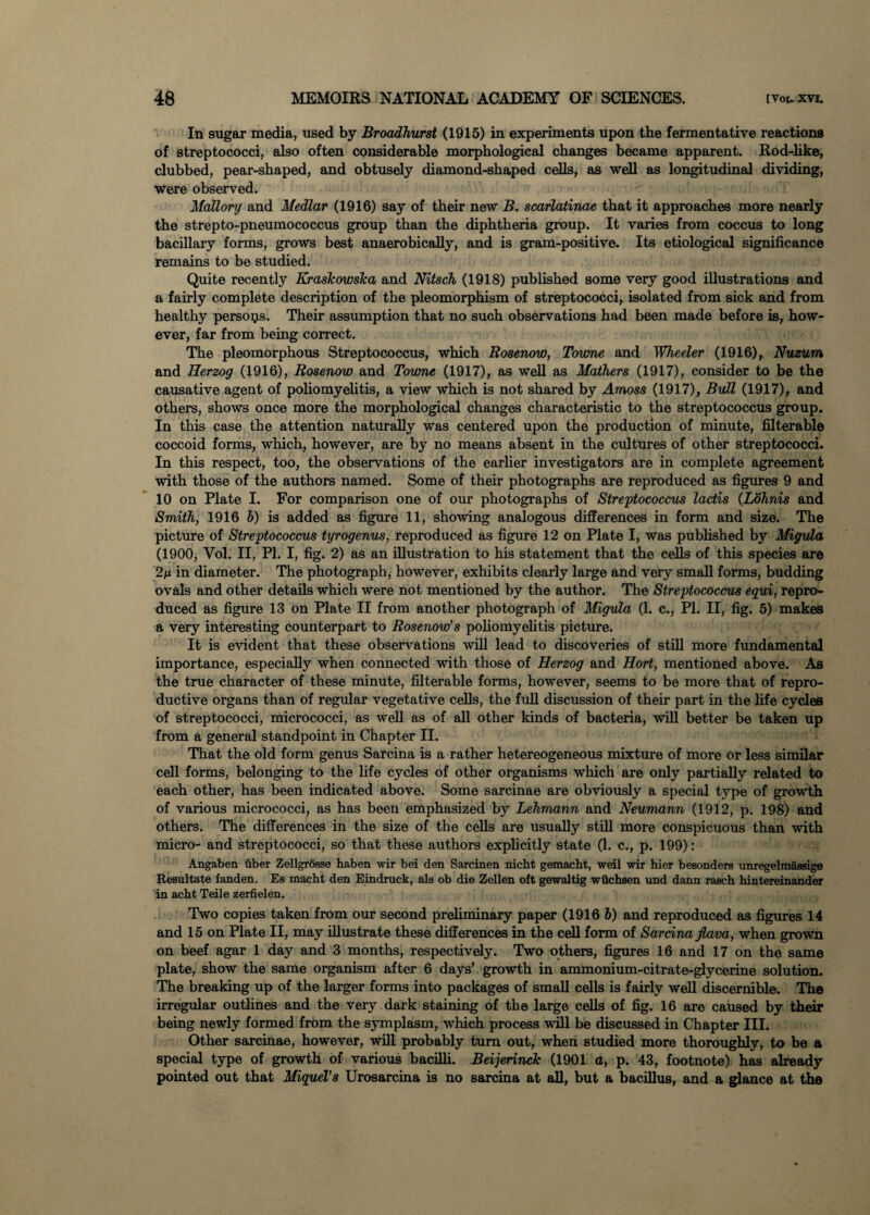 In sugar media, used by Broadhurst (1915) in experiments upon the fermentative reactions of streptococci, also often considerable morphological changes became apparent. Rod-like, clubbed, pear-shaped, and obtusely diamond-shaped cells, as well as longitudinal dividing, were observed. Mallory and Medlar (1916) say of their new B. scarlatinae that it approaches more nearly the strepto-pneumococcus group than the diphtheria group. It varies from coccus to long bacillary forms, grows best anaerobically, and is gram-positive. Its etiological significance remains to be studied. Quite recently Kraskowslca and Nitsch (1918) published some very good illustrations and a fairly complete description of the pleomorphism of streptococci, isolated from sick and from healthy persons. Their assumption that no such observations had been made before is, how¬ ever, far from being correct. The pleomorphous Streptococcus, which Rosenow, Tovme and Wheeler (1916), Nuzum and Herzog (1916), Rosenow and Tovme (1917), as well as Mathers (1917), consider to be the causative agent of poliomyelitis, a view which is not shared by Amoss (1917), Bull (1917), and others, shows once more the morphological changes characteristic to the streptococcus group. In this case the attention naturally was centered upon the production of minute, filterable coccoid forms, which, however, are by no means absent in the cultures of other streptococci. In this respect, too, the observations of the earlier investigators are in complete agreement with those of the authors named. Some of their photographs are reproduced as figures 9 and 10 on Plate I. For comparison one of our photographs of Streptococcus lactis (Lohnis and Smith, 1916 b) is added as figure 11, showing analogous differences in form and size. The picture of Streptococcus tyrogenus, reproduced as figure 12 on Plate I, was published by Migvla (1900, Yol. II, PI. I, fig. 2) as an illustration to his statement that the cells of this species are 2n in diameter. The photograph, however, exhibits clearly large and very small forms, budding ovals and other details which were not mentioned by the author. The Streptococcus egui, repro¬ duced as figure 13 on Plate II from another photograph of Migvla (1. c., PI. II, fig. 5) makes a very interesting counterpart to Rosenow’s poliomyelitis picture. It is evident that these observations will lead to discoveries of still more fundamental importance, especially when connected with those of Herzog and Hort, mentioned above. As the true character of these minute, filterable forms, however, seems to be more that of repro¬ ductive organs than of regular vegetative cells, the full discussion of their part in the life cycles of streptococci, micrococci, as well as of all other kinds of bacteria, will better be taken up from a general standpoint in Chapter II. That the old form genus Sarcina is a rather hetereogeneous mixture of more or less similar cell forms, belonging to the life cycles of other organisms which are only partially related to each other, has been indicated above. Some sarcinae are obviously a special type of growth of various micrococci, as has been emphasized by Lehmann and Neumann (1912, p. 198) and others. The differences in the size of the cells are usually still more conspicuous than with micro- and streptococci, so that these authors explicitly state (1. c., p. 199): Angaben fiber Zellgrosse haben wir bei den Sarcinen nicht gemacht, weil wir hier besonders unregelmassige Resultate fanden. Es macht den Eindruck, ala ob die Zellen oft gewaltig wiichsen und dann rasch hintereinander in acht Teile zerfielen. Two copies taken from our second preliminary paper (1916 6) and reproduced as figures 14 and 15 on Plate II, may illustrate these differences in the cell form of Sarcina flava, when grown on beef agar 1 day and 3 months, respectively. Two others, figures 16 and 17 on the same plate, show the same organism after 6 days’ growth in ammonium-citrate-glycerine solution. The breaking up of the larger forms into packages of small cells is fairly well discernible. The irregular outlines and the very dark staining of the large cells of fig. 16 are caused by their being newly formed from the symplasm, which process will be discussed in Chapter III. Other sarcinae, however, will probably turn out, when studied more thoroughly, to be a special type of growth of various bacilli. Beijerinck (1901 a, p. 43, footnote) has already pointed out that Miguel’s Urosarcina is no sarcina at all, but a bacillus, and a glance at the