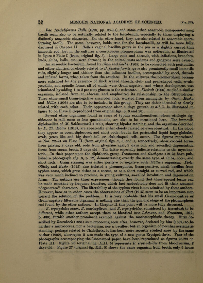 Bac. funduliformis Halle (1898, pp. 28-31) and some other anaerobic nonspore-forming bacilli seem also to be naturally related to the lactobacilli, especially to those displaying a distinctly anaerobic character. On the other hand, they are also related to anaerobic spore- forming bacilli. The same, however, holds true for the lactobacilli, as will be more fully discussed in Chapter II. Halle’s vaginal bacillus grows in the pus as a slightly curved thin immotile rod, but in the cultures a conspicuous pleomorphism was noticeable, as illustrated in figure 9 Plate C (from original fig. 3). Large rods and threads, with inflations, branches, buds, clubs, balls, etc., were formed; in the animal tests oedema and gangrene were caused. An anaerobic bacterium, found by Ghon and Sachs (1905) to be connected with peritonitis, and either identical or closely related to B. funduliformis, gave also prominently small immotile rods, slightly longer and thicker than the influenza bacillus, accompanied by cocci, threads and inflated forms, when taken from the exudate. In the cultures the pleomorphism became more enhanced by the presence of thick waved threads, club- and pear-shaped cells, ovals, yeastlike, and spindle forms, all of which were Gram-negative, and whose development was stimulated by adding 1 to 2 per cent glucose to the substrate. Kisskalt (1906) studied a similar organism, isolated from an abscess, and emphasized its relationship to the Streptotrices. Three other small Gram-negative anaerobic rods, isolated from meningitis by Ghon, Mucha and Muller (1906) are also to be included in this group. They are either identical or closely related with each other. Their appearance after 4 days growth at 37° C. is illustrated in figure 10 on Plate C (reproduced from original figs. 6, 9 and 20). Several other organisms found in cases of typhus exanthematicus, whose etiologic sig¬ nificance is still more or less questionable, are also to be mentioned here. The immotile diplobacillus of M. Rabinowitsch (1909), showing bipolar staining, and the organism described by P. Th. Muller (1913), are apparently either closely related or even identical. In the blood they appear as cocci, diplococci, and short rods; but in the pericardial liquid large globules, ovals, yeast like and big dumb-bell or club-shaped cells occur. The figures reproduced as Nos. 22-24 on Plate II (from original figs. 2, 5, and 1, respectively) show coccoid forms from gelatin, 2 days old, rods from glycerine agar, 2 days old, and so-called degeneration forms from serum broth, 8 days old. The latter especially indicate relations to the mycobac¬ teria. In their paper upon the diphtheria group Trautmann and Gaethgens (1913) have pub¬ lished a photograph (fig. 8, p. 72) demonstrating exactly the same type of clubs, cocci, and short rods. Gram staining was either positive or negative with Muller’s organism. Plotz, Olitzky and Baehr (1915) also isolated a pleomorphous, Gram-positive, small bacillus from typhus cases, which grew either as a coccus, or as a short straight or curved rod, and which was very much inclined to produce, in young cultures, so-called involution and degeneration forms. The authors use these expressions, though they found that these special forms can be made constant by frequent transfers, which fact undoubtedly does not fit their assumed “degenerate” character. The filterability of the typhus virus is not admitted by these authors. However, here as in other cases the observations of Hort (1915) seem to be an important step toward the solution of the problem. It is very probable that his small Gram-positive or Gram-negative filterable organism is nothing else than the gonidial stage of the pleomorphous rod found by the other authors. In Chapter II this point will be more fully discussed. B. erysipelatos suum, B. murisepticum, and B. erysipeloides, considered by Rosenbach to be different, while other authors accept them as identical (see Lehmann and Neumann, 1912, p. 430), furnish another prominent example against the monomorphistie theory. First de¬ scribed by Rosenbach (1884) as micrococcus, soon after, however, declared by him (1887) to be neither a micrococcus, nor a bacterium, nor a bacillus, but an organism of peculiar systematic standing, perhaps related to Cladothrix, it has been more recently studied anew by the same author (1909), whereupon it was made the type of a new genus Erysipelothrix. Four of the photographs accompanying the last-named paper have been reproduced as figures 26-29 on Plate III. Figure 26 (original fig. XIII, 5) represents B. erysipeloides from blood serum, 7 days old. Figure 27 (original fig. XII, 5) shows the same organism from broth, only 9 hours