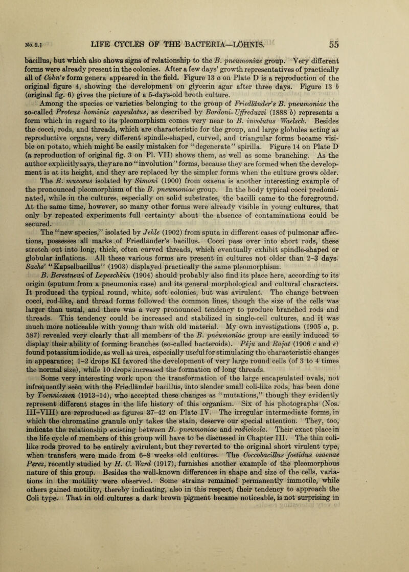 bacillus, but which also shows signs of relationship to the B. ‘pneumoniae group. Very different forms were already present in the colonies. After a few days’ growth representatives of practically all of Cohn’s form genera appeared in the field. Figure 13 a on Plate D is a reproduction of the original figure 4, showing the development on glycerin agar after three days. Figure 13 b (original fig. 6) gives the picture of a 5-days-old broth culture. Among the species or varieties belonging to the group of Friedldnder’s B. pneumoniae the so-called Proteus hominis capsulatus, as described by Bordoni-UJfreduzzi (1888 b) represents a form which in regard to its pleomorphism comes very near to B. involutus Waelsch. Besides the cocci, rods, and threads, which are characteristic for the group, and large globules acting as reproductive organs, very different spindle-shaped, curved, and triangular forms became visi¬ ble on potato, which might be easily mistaken for “degenerate” spirilla. Figure 14 on Plate D (a reproduction of original fig. 3 on PI. VII) shows them, as well as some branching. As the author explicitly says, they are no “involution” forms, because they are formed when the develop¬ ment is at its height, and they are replaced by the simpler forms when the culture grows older. The B. mucosus isolated by Simoni (1900) from ozaena is another interesting example of the pronounced pleomorphism of the B. pneumoniae group. In the body typical cocci predomi¬ nated, while in the cultures, especially on solid substrates, the bacilli came to the foreground. At the same time, however, so many other forms were already visible in young cultures, that only by repeated experiments full certainty about the absence of contaminations could be secured. The “new species,” isolated by Jehle (1902) from sputa in different cases of pulmonar affec¬ tions, possesses all marks ,of Friedlander’s bacillus. Cocci pass over into short rods, these stretch out into long, thick, often curved threads, which eventually exhibit spindle-shaped or globular inflations. All these various forms are present in cultures not older than 2-3 days. Sachs’ “Kapselbacillus” (1903) displayed practically the same pleomorphism. B. Berestnewi of LepeschJcin (1904) should probably also find its place here, according to its origin (sputum from a pneumonia case) and its general morphological and cultural characters. It produced the typical round, white, soft colonies, but was avirulent. The change between cocci, rod-like, and thread forms followed the common lines, though the size of the cells was larger than usual, and there was a very pronounced tendency to produce branched rods and threads. This tendency could be increased and stabilized in single-cell cultures, and it was much more noticeable with young than with old material. My own investigations (1905 a, p. 587) revealed very clearly that all members of the B. pneumoniae group are easily induced to display their ability of forming branches (so-called bacteroids). Peju and Rajat (1906 c and e) found potassium iodide, as well as urea, especially useful for stimulating the characteristic changes in appearance; 1-2 drops KI favored the development of very large round cells (of 3 to 4 times the normal size), while 10 drops increased the formation of long threads. Some very interesting work upon the transformation of the large encapsulated ovals, not infrequently seen with the Friedlander bacillus, into slender small coli-like rods, has been done by Toenniessen (1913-14), who accepted these changes as “mutations,” though they evidently represent different stages in the life history of this organism. Six of his photographs (Nos. III-VIII) are reproduced as figures 37-42 on Plate IV. The irregular intermediate forms, in which the chromatine granule only takes the stain, deserve our special attention. They, too, indicate the relationship existing between B. pneumoniae and radicicola. Their exact place in the life cycle of members of this group will have to be discussed in Chapter III. The thin coli- like rods proved to be entirely avirulent, but they reverted to the original short virulent type, when transfers were made from 6-8 weeks old cultures. The Coccobacillus foetidus ozaenae Perez, recently studied by H. C. Ward (1917), furnishes another example of the pleomorphous nature of this group. Besides the well-known differences in shape and size of the cells, varia¬ tions in the motility were observed. Some strains remained permanently immotile, while others gained motility, thereby indicating, also in this respect, their tendency to approach the Coli type. That in old cultures a dark brown pigment became noticeable, is not surprising in