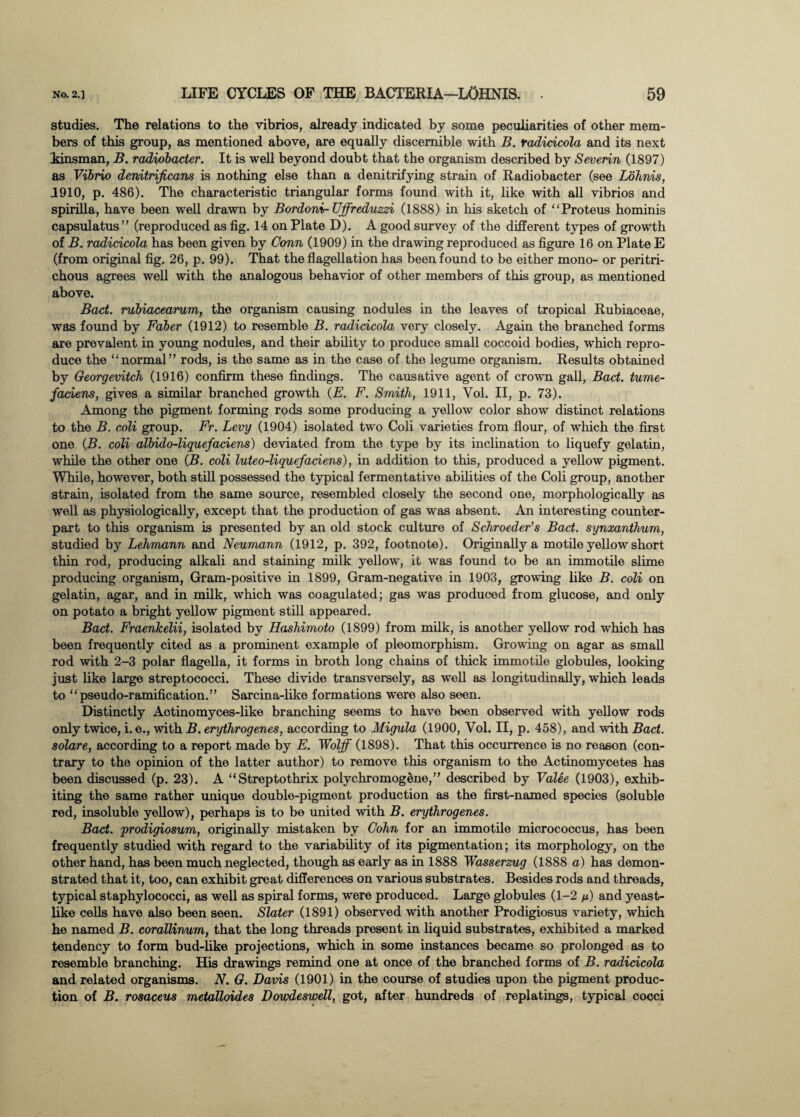 studies. The relations to the vibrios, already indicated by some peculiarities of other mem¬ bers of this group, as mentioned above, are equally discernible with B. radicicola and its next kinsman, B. radzobacter. It is well beyond doubt that the organism described by Severin (1897) as Vibrio denitrijicans is nothing else than a denitrifying strain of Radiobacter (see Lohnis, 1910, p. 486). The characteristic triangular forms found with it, like with all vibrios and spirilla, have been well drawn by Bordoni-Uffreduzzi (1888) in his sketch of “Proteus hominis capsulatus” (reproduced as fig. 14 on Plate D). A good survey of the different types of growth of B. radicicola has been given by Conn (1909) in the drawing reproduced as figure 16 on Plate E (from original fig. 26, p. 99). That the flagellation has been found to be either mono- or peritri- chous agrees well with the analogous behavior of other members of this group, as mentioned above. Bad. rubiacearum, the organism causing nodules in the leaves of tropical Rubiaceae, was found by Faber (1912) to resemble B. radicicola very closely. Again the branched forms are prevalent in young nodules, and their ability to produce small coccoid bodies, which repro¬ duce the “normal” rods, is the same as in the case of the legume organism. Results obtained by Georgevitch (1916) confirm these findings. The causative agent of crown gall, Bad. tume- faciens, gives a similar branched growth (E. F. Smith, 1911, Vol. II, p. 73). Among the pigment forming rods some producing a yellow color show distinct relations to the B. coli group. Fr. Levy (1904) isolated two Coli varieties from flour, of which the first one (B. coli albido-liquefadens) deviated from the type by its inclination to liquefy gelatin, while the other one (B. coli luteo-liquefadens), in addition to this, produced a yellow pigment. While, however, both still possessed the typical fermentative abilities of the Coli group, another strain, isolated from the same source, resembled closely the second one, morphologically as well as physiologically, except that the production of gas was absent. An interesting counter¬ part to this organism is presented by an old stock culture of Schroeder’s Bad. synxanthum, studied by Lehmann and Neumann (1912, p. 392, footnote). Originally a motile yellow short thin rod, producing alkali and staining milk yellow, it was found to be an immotile slime producing organism, Gram-positive in 1899, Gram-negative in 1903, growing like B. coli on gelatin, agar, and in milk, which was coagulated; gas was produced from glucose, and only on potato a bright yellow pigment still appeared. Bad. Fraenkelii, isolated by Hashimoto (1899) from milk, is another yellow rod which has been frequently cited as a prominent example of pleomorphism. Growing on agar as small rod with 2-3 polar flagella, it forms in broth long chains of thick immotile globules, looking just like large streptococci. These divide transversely, as well as longitudinally, which leads to “pseudo-ramification.” Sarcina-like formations were also seen. Distinctly Aotinomyces-like branching seems to have been observed with yellow rods only twice, i. e., with B. erythrogenes, according to Migula (1900, Vol. II, p. 458), and with Bad. solare, according to a report made by E. Wolff (1898). That this occurrence is no reason (con¬ trary to the opinion of the latter author) to remove this organism to the Actinomycetes has been discussed (p. 23). A “Streptothrix polychromogene,” described by Valee (1903), exhib¬ iting the same rather unique double-pigment production as the first-named species (soluble red, insoluble yellow), perhaps is to be united with B. erythrogenes. Bad. prodigiosum, originally mistaken by Cohn for an immotile micrococcus, has been frequently studied with regard to the variability of its pigmentation; its morphology, on the other hand, has been much neglected, though as early as in 1888 Wasserzug (1888 a) has demon¬ strated that it, too, can exhibit great differences on various substrates. Besides rods and threads, typical staphylococci, as well as spiral forms, were produced. Large globules (1-2 and yeast¬ like cells have also been seen. Slater (1891) observed with another Prodigiosus variety, which he named B. corallinum, that the long threads present in liquid substrates, exhibited a marked tendency to form bud-like projections, which in some instances became so prolonged as to resemble branching. His drawings remind one at once of the branched forms of B. radidcola and related organisms. N. G. Davis (1901) in the course of studies upon the pigment produc¬ tion of B. rosaceus metalloides Dowdeswell, got, after hundreds of replatings, typical cocci