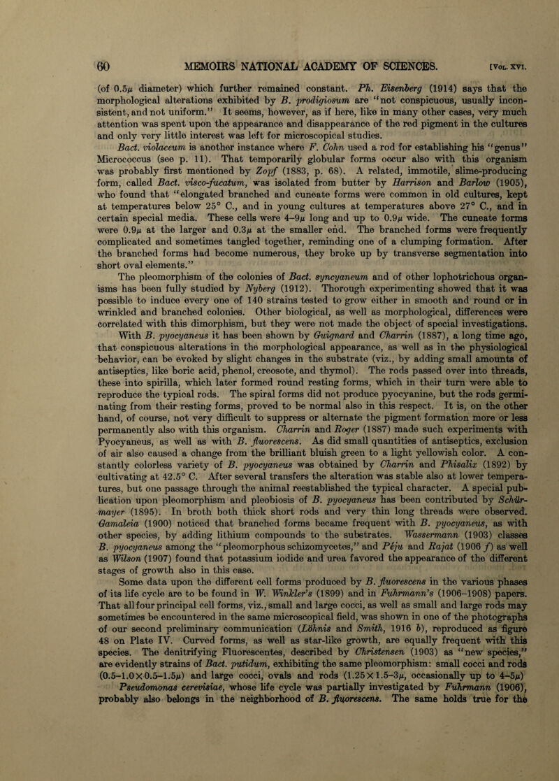 (of 0.5m diameter) which further remained constant. Ph. Eiseriberg (1914) says that the morphological alterations exhibited by B. prodigiosum are “not conspicuous, usually incon¬ sistent, and not uniform.” It seems, however, as if here, like in many other cases, very much attention was spent upon the appearance and disappearance of the red pigment in the cultures and only very little interest was left for microscopical studies. Bad. violaceum is another instance where F. Cohn used a rod for establishing his “genus” Micrococcus (see p. 11). That temporarily globular forms occur also with this organism was probably first mentioned by Zopf (1883, p. 68). A related, immotile, slime-producing form, called Bad. visco-fucatum, was isolated from butter by Harrison and Barlow (1905), who found that “elongated branched and cuneate forms were common in old cultures, kept at temperatures below 25° C., and in young cultures at temperatures above 27° C., and in certain special media. These cells were 4-9m long and up to 0.9m wide. The cuneate forms were 0.9m at the larger and 0.3m at the smaller end. The branched forms were frequently complicated and sometimes tangled together, reminding one of a clumping formation. After the branched forms had become numerous, they broke up by transverse segmentation into short oval elements.” The pleomorphism of the colonies of Bad. syncyaneum and of other lophotrichous organ¬ isms has been fully studied by Nyberg (1912). Thorough experimenting showed that it was possible to induce every one of 140 strains tested to grow either in smooth and round or in wrinkled and branched colonies. Other biological, as well as morphological, differences were correlated with this dimorphism, but they were not made the object of special investigations. With B. pyocyaneus it has been shown by Guignard and Charrin (1887), a long time ago, that conspicuous alterations in the morphological appearance, as well as in the physiological behavior, can be evoked by slight changes in the substrate (viz., by adding small amounts of antiseptics, like boric acid, phenol, creosote, and thymol). The rods passed over into threads, these into spirilla, which later formed round resting forms, which in their turn were able to reproduce the typical rods. The spiral forms did not produce pyocyanine, but the rods germi¬ nating from their resting forms, proved to be normal also in this respect. It is, on the other hand, of course, not very difficult to suppress or alternate the pigment formation more or less permanently also with this organism. Charrin and Roger (1887) made such experiments with Pyocyaneus, as well as with B. jluorescens. As did small quantities of antiseptics, exclusion of air also caused a change from the brilliant bluish green to a light yellowish color. A con¬ stantly colorless variety of B. pyocyaneus was obtained by Charrin and Phisalix (1892) by cultivating at 42.5° C. After several transfers the alteration was stable also at lower tempera¬ tures, but one passage through the animal reestablished the typical character. A special pub¬ lication upon pleomorphism and pleobiosis of B. pyocyaneus has been contributed by Schiir- mayer (1895). In broth both thick short rods and very thin long threads were observed. Gamaleia (1900) noticed that branched forms became frequent with B. pyocyaneus, as with other species, by adding lithium compounds to the substrates. Wassermann (1903) classes B. pyocyaneus among the “pleomorphous schizomycetes,” and Peju and Rajat (1906/) as well as Wilson (1907) found that potassium iodide and urea favored the appearance of the different stages of growth also in this case. Some data upon the different cell forms produced by B. jluorescens in the various phases of its life cycle are to be found in W. Winkler’s (1899) and in Fuhrmann’s (1906-1908) papers. That all four principal cell forms, viz., small and large cocci, as well as small and large rods may sometimes be encountered in the same microscopical field, was shown in one of the photographs of our second preliminary communication (Lohnis and Smith, 1916 b), reproduced as figure 48 on Plate IV. Curved forms, as well as star-like growth, are equally frequent with this species. The denitrifying Fluorescentes, described by Christensen (1903) as “new species,” are evidently strains of Bad. putidum, exhibiting the same pleomorphism: small cocci and rods (0.5-1.OX0.5-1.5m) and large cocci, ovals and rods (1.25X 1.5-3m, occasionally up to 4-5m) Pseudomonas cerevisiae, whose life cycle was partially investigated by Fuhrmann (1906), probably also belongs in the neighborhood of B. jluorescens. The same holds true for the