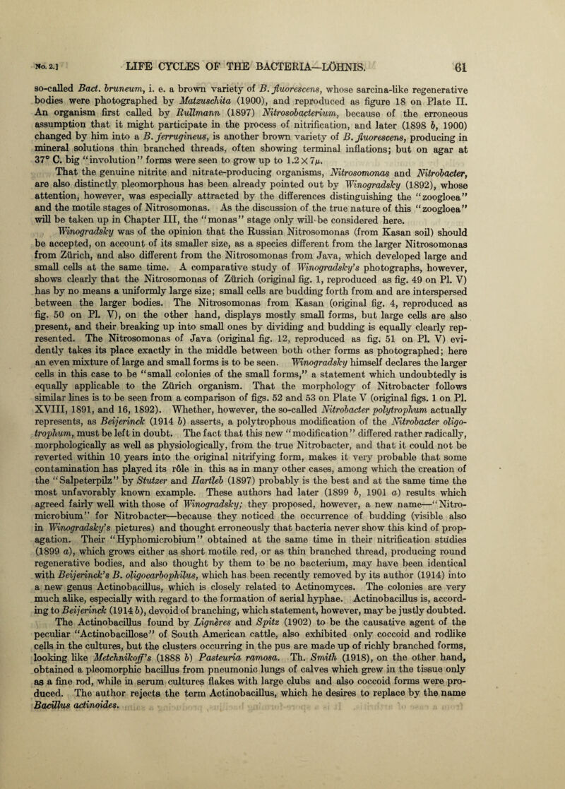 so-called Bad. bruneum, i. e. a brown variety of B. Jluorescens, whose sarcina-like regenerative bodies were photographed by Matzuschita (1900), and reproduced as figure 18 on Plate II. An organism first called by Rullmann (1897) Nitrosobaderium, because of the erroneous assumption that it might participate in the process of nitrification, and later (1898 b, 1900) changed by him into a B. ferrugineus, is another brown variety of B. jluorescens, producing in mineral solutions thin branched threads, often showing terminal inflations; but on agar at 37° C. big “involution” forms were seen to grow up to 1.2 X 7ju. That the genuine nitrite and nitrate-producing organisms, Nitrosomonas and Nitrobader, are also distinctly pleomorphous has been already pointed out by WinogradsJcy (1892), whose attention, however, was especially attracted by the differences distinguishing the “zoogloea” and the motile stages of Nitrosomonas. As the discussion of the true nature of this “zoogloea” will be taken up in Chapter III, the “monas” stage only will-be considered here. Winogradsky was of the opinion that the Russian Nitrosomonas (from Kasan soil) should be accepted, on account of its smaller size, as a species different from the larger Nitrosomonas from Zurich, and also different from the Nitrosomonas from Java, which developed large and small cells at the same time. A comparative study of Winogradsky’s photographs, however, shows clearly that the Nitrosomonas of Zurich (original fig. 1, reproduced as fig. 49 on PL V) has by no means a uniformly large size; small cells are budding forth from and are interspersed between the larger bodies. The Nitrosomonas from Kasan (original fig. 4, reproduced as fig. 50 on PI. V), on the other hand, displays mostly small forms, but large cells are also present, and their breaking up into small ones by dividing and budding is equally clearly rep¬ resented. The Nitrosomonas of Java (original fig. 12, reproduced as fig. 51 on PI. V) evi¬ dently takes its place exactly in the middle between both other forms as photographed; here an even mixture of large and small forms is to be seen. WinogradsJcy himself declares the larger cells in this case to be “small colonies of the small forms,” a statement which undoubtedly is equally applicable to the Zurich organism. That the morphology of Nitrobacter follows similar fines is to be seen from a comparison of figs. 52 and 53 on Plate V (original figs. 1 on PI. XVIII, 1891, and 16, 1892). Whether, however, the so-called Nitrobader polytrophum actually represents, as Beijerinck (1914 b) asserts, a polytrophous modification of the Nitrobader oligo- trophum, must be left in doubt. The fact that this new “modification” differed rather radically, morphologically as well as physiologically, from the true Nitrobacter, and that it could not be reverted within 10 years into the original nitrifying form, makes it very probable that some contamination has played its r61e in this as in many other cases, among which the creation of the “ Salpeterpilz ” by Stutzer and Hartleb (1897) probably is the best and at the same time the most unfavorably known example. These authors had later (1899 b, 1901 a) results which agreed fairly well with those of WinogradsJcy; they proposed, however, a new name—“Nitro- microbium” for Nitrobacter—because they noticed the occurrence of budding (visible also in WinogradsJcy's pictures) and thought erroneously that bacteria never show this kind of prop¬ agation. Their “Hyphomicrobium” obtained at the same time in their nitrification studies (1899 a), which grows either as short motile red, or as thin branched thread, producing round regenerative bodies, and also thought by them to be no bacterium, may have been identical with BeijerincJc’s B. oligocarbopJiilus, which has been recently removed by its author (1914) into a new genus Actinobacillus, which is closely related to Actinomyces. The colonies are very much alike, especially with regard to the formation of aerial hyphae. Actinobacillus is, accord¬ ing to Beijerinck (1914 b), devoid of branching, which statement, however, may be justly doubted. The Actinobacillus found by Ligneres and Spitz (1902) to be the causative agent of the peculiar “Actinobacillose” of South American cattle, also exhibited only coccoid and rodfike cells in the cultures, but the clusters occurring in the pus are made up of richly branched forms, looking like Metchnikoff’s (1888 b) Pasteuria ramosa. Th. Smith (1918), on the other hand, obtained a pleomorphic bacillus from pneumonic lungs of calves which grew in the tissue only as a fine rod, while in serum cultures flakes with large clubs and also coccoid forms were pro¬ duced. The author rejects the term Actinobacillus, which he desires to replace by the name Bacillus adinoides.