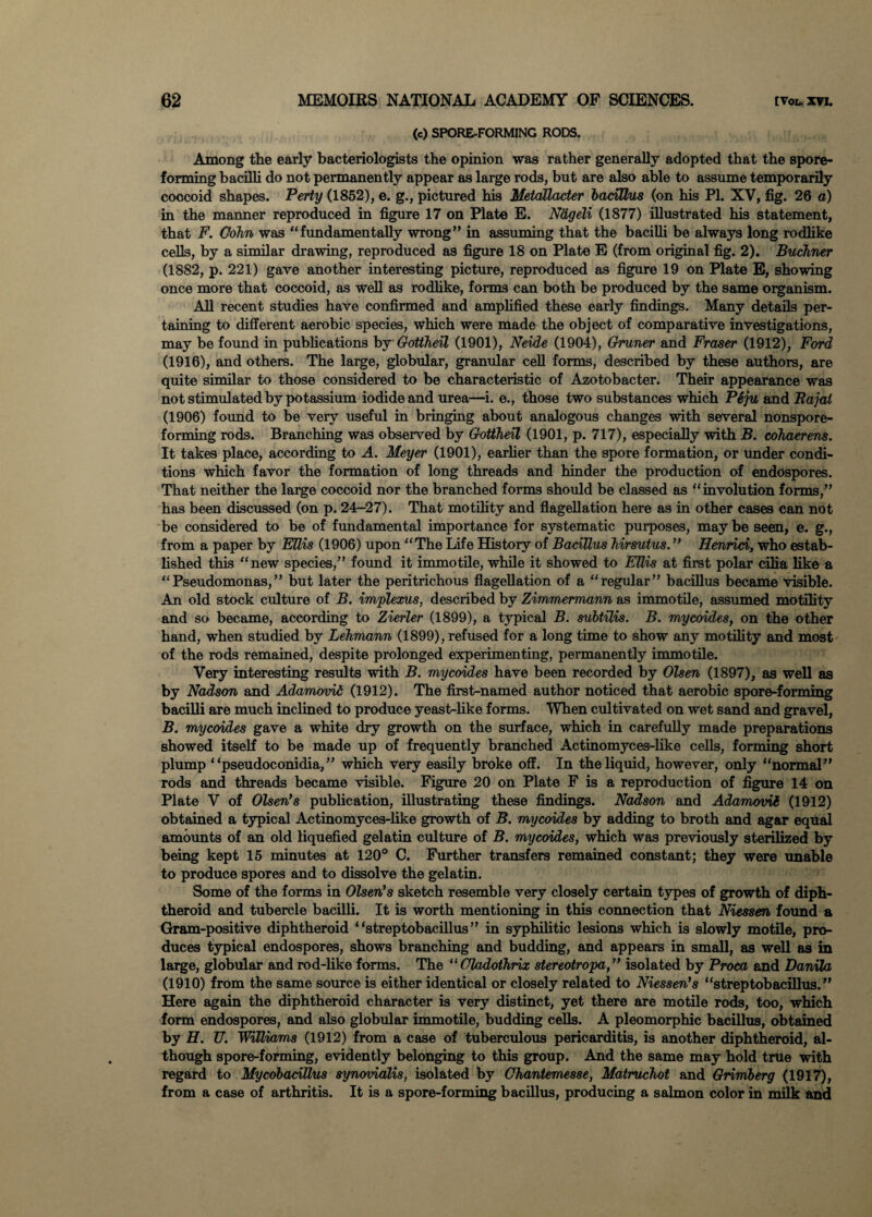 (c) SPORE-FORMING RODS. Among the early bacteriologists the opinion was rather generally adopted that the spore- forming bacilli do not permanently appear as large rods, but are also able to assume temporarily coccoid shapes. Perty (1852), e. g., pictured his Metcdlacter badUus (on his PI. XV, fig. 26 a) in the manner reproduced in figure 17 on Plate E. Ndgeli (1877) illustrated his statement, that F. Cohn was “fundamentally wrong” in assuming that the bacilli be always long rodlike cells, by a similar drawing, reproduced as figure 18 on Plate E (from original fig. 2). Buchner (1882, p. 221) gave another interesting picture, reproduced as figure 19 on Plate E, showing once more that coccoid, as well as rodlike, forms can both be produced by the same organism. All recent studies have confirmed and amplified these early findings. Many details per¬ taining to different aerobic species, which were made the object of comparative investigations, may be found in publications by Gottheil (1901), Neide (1904), Gruner and Fraser (1912), Ford (1916), and others. The large, globular, granular cell forms, described by these authors, are quite similar to those considered to be characteristic of Azotobacter. Their appearance was not stimulated by potassium iodide and urea—i. e., those two substances which Peju and Rajai (1906) found to be very useful in bringing about analogous changes with several nonspore- forming rods. Branching was observed by Gottheil (1901, p. 717), especially with B. cohaerens. It takes place, according to A. Meyer (1901), earlier than the spore formation, or under condi¬ tions which favor the formation of long threads and hinder the production of endospores. That neither the large coccoid nor the branched forms should be classed as “involution forms,” has been discussed (on p. 24-27). That motility and flagellation here as in other cases can not be considered to be of fundamental importance for systematic purposes, may be seen, e. g., from a paper by EUis (1906) upon “The Life History of BadUus hirsutus. ” Henrid, who estab¬ lished this “new species,” found it immotile, while it showed to EUis at first polar cilia like a “Pseudomonas,” but later the peritrichous flagellation of a “regular” bacillus became visible. An old stock culture of B. implexus, described by Zimmermann as immotile, assumed motility and so became, according to Zierler (1899), a typical B. subtilis. B. mycoides, on the other hand, when studied by Lehmann (1899), refused for a long time to show any motility and most of the rods remained, despite prolonged experimenting, permanently immotile. Very interesting results with B. mycoides have been recorded by Olsen (1897), as well as by Nadson and Adamovii (1912). The first-named author noticed that aerobic spore-forming bacilli are much inclined to produce yeast-like forms. When cultivated on wet sand and gravel, B. mycoides gave a white dry growth on the surface, which in carefully made preparations showed itself to be made up of frequently branched Actinomyces-like cells, forming short plump “pseudoconidia, ” which very easily broke off. In the liquid, however, only “normal” rods and threads became visible. Figure 20 on Plate F is a reproduction of figure 14 on Plate V of Olsen’s publication, illustrating these findings. Nadson and Adamovii (1912) obtained a typical Actinomyces-like growth of B. mycoides by adding to broth and agar equal amounts of an old liquefied gelatin culture of B. mycoides, which was previously sterilized by being kept 15 minutes at 120° C. Further transfers remained constant; they were unable to produce spores and to dissolve the gelatin. Some of the forms in Olsen’s sketch resemble very closely certain types of growth of diph¬ theroid and tubercle bacilli. It is worth mentioning in this connection that Niessen found a Gram-positive diphtheroid “streptobacillus” in syphilitic lesions which is slowly motile, pro¬ duces typical endospores, shows branching and budding, and appears in small, as well as in large, globular and rod-like forms. The “ Oladothrix stereotropa,” isolated by Proca and Danila (1910) from the same source is either identical or closely related to Niessen’s “streptobacillus.” Here again the diphtheroid character is very distinct, yet there are motile rods, too, which form endospores, and also globular immotile, budding cells. A pleomorphic bacillus, obtained by H. U. WiUiams (1912) from a case of tuberculous pericarditis, is another diphtheroid, al¬ though spore-forming, evidently belonging to this group. And the same may hold true with regard to Mycobadllus synovialis, isolated by Chantemesse, Matruchot and Grimberg (1917), from a case of arthritis. It is a spore-forming bacillus, producing a salmon color in milk and